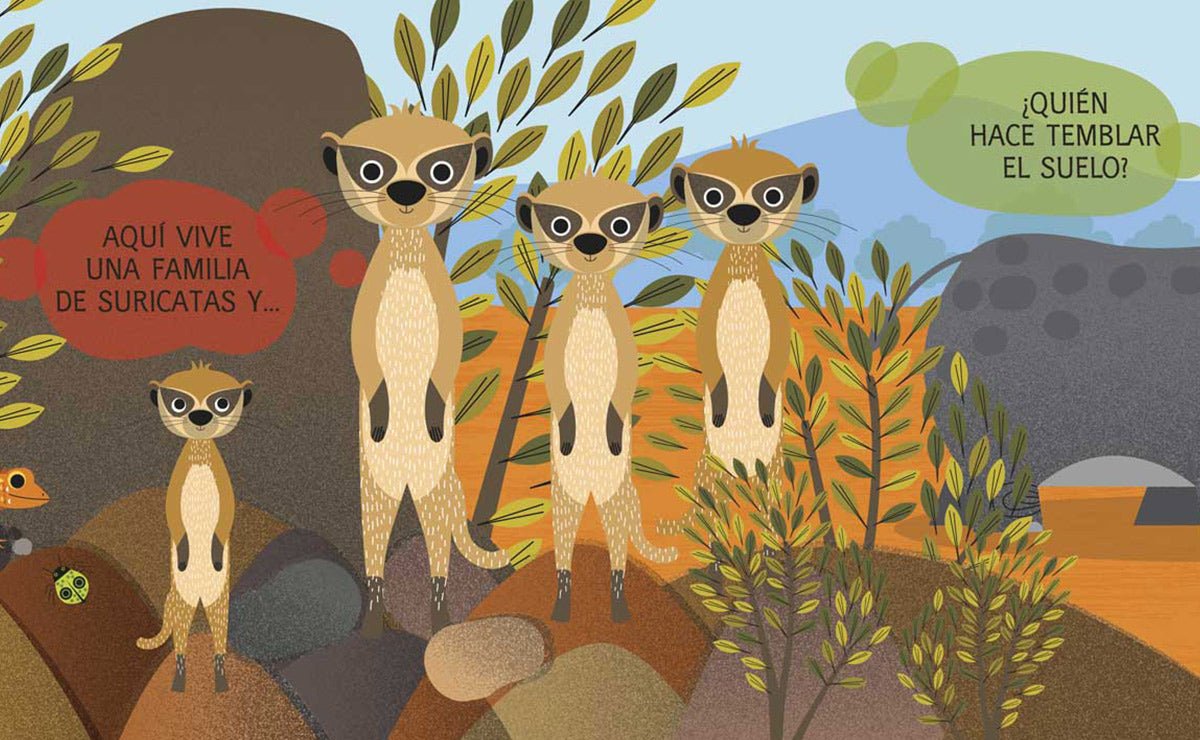 Encuéntrame – solapas sorpresa - Imagino Cuentos