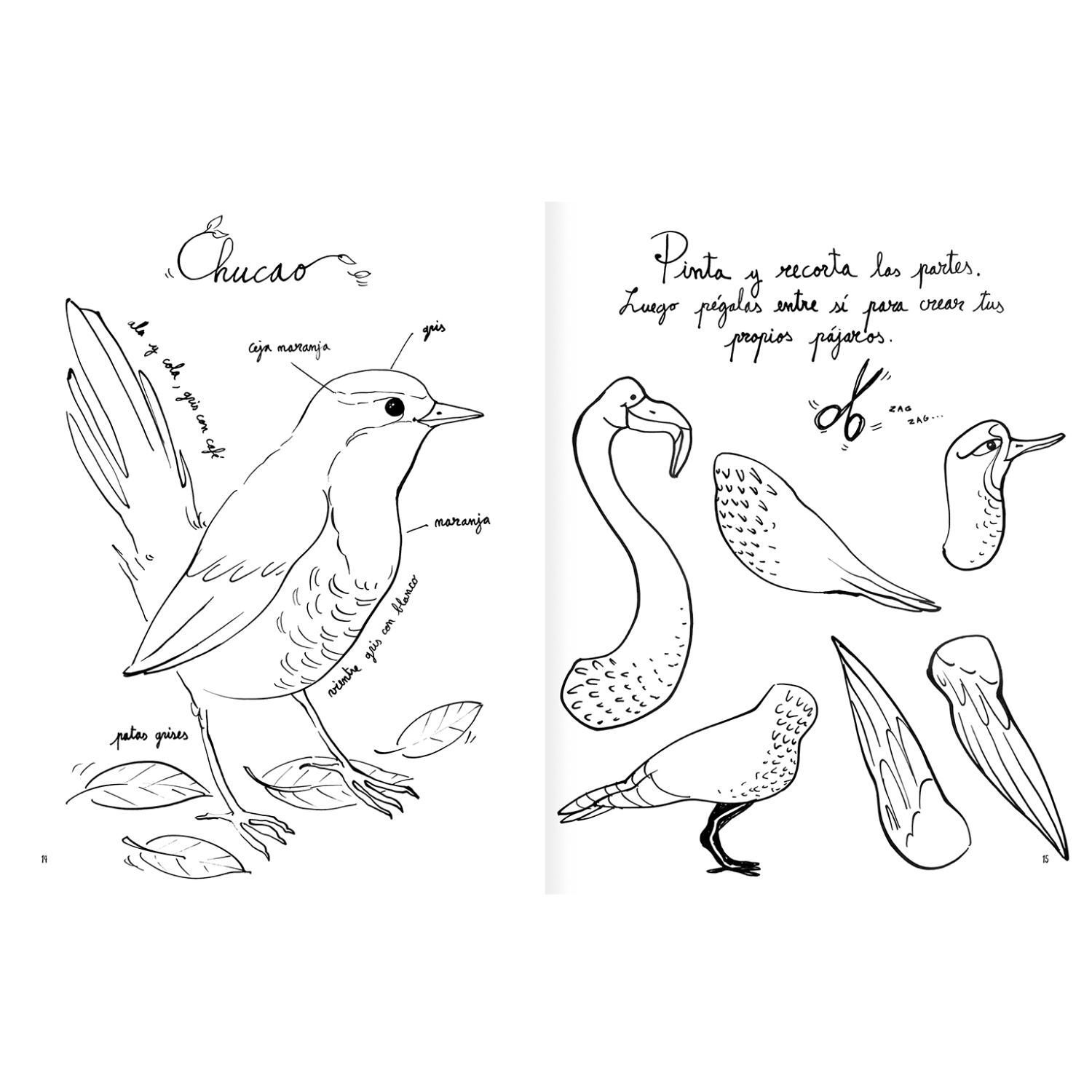 Pintapájaros