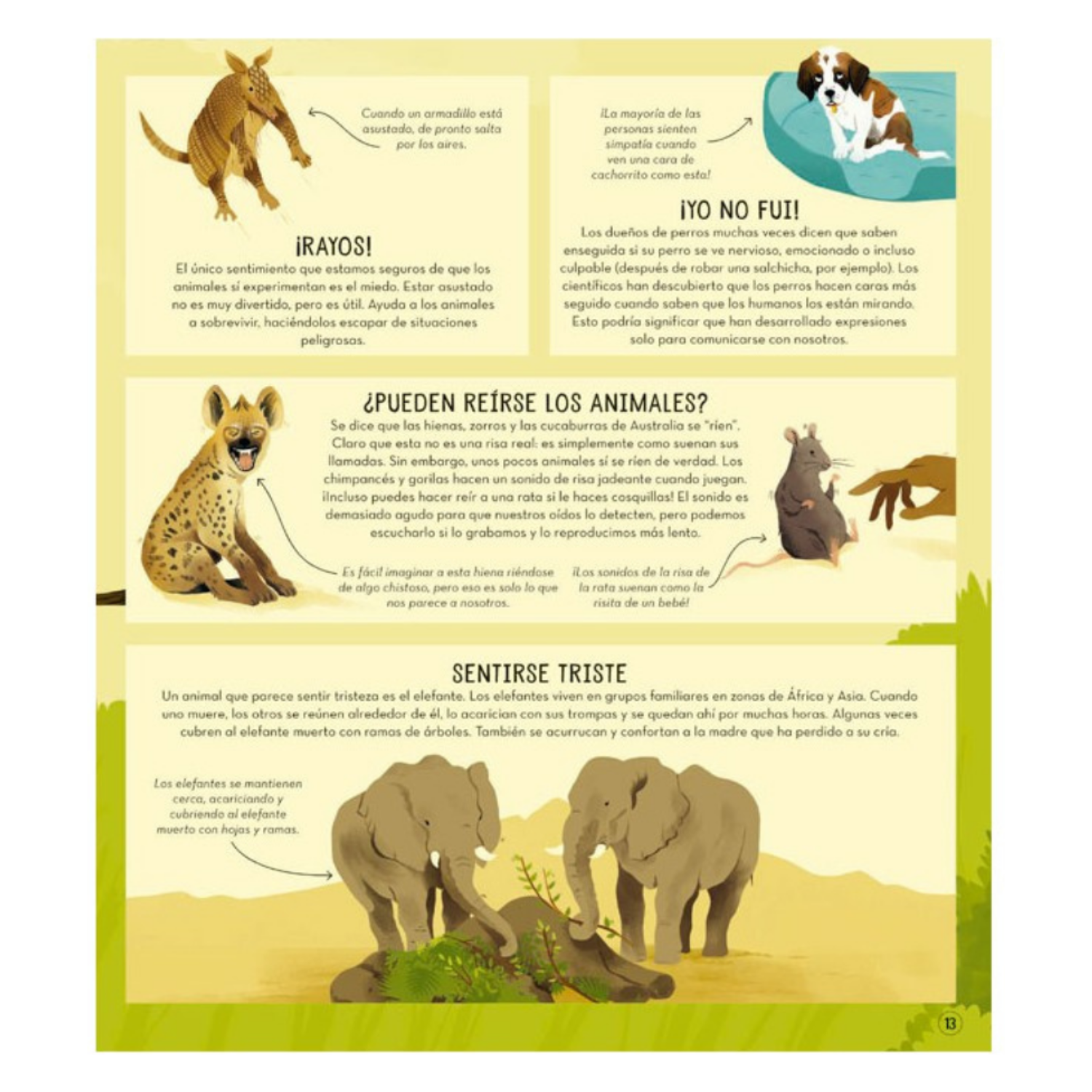 La sorprendente vida de los animales
