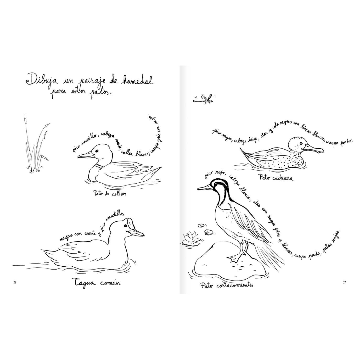 Pintapájaros