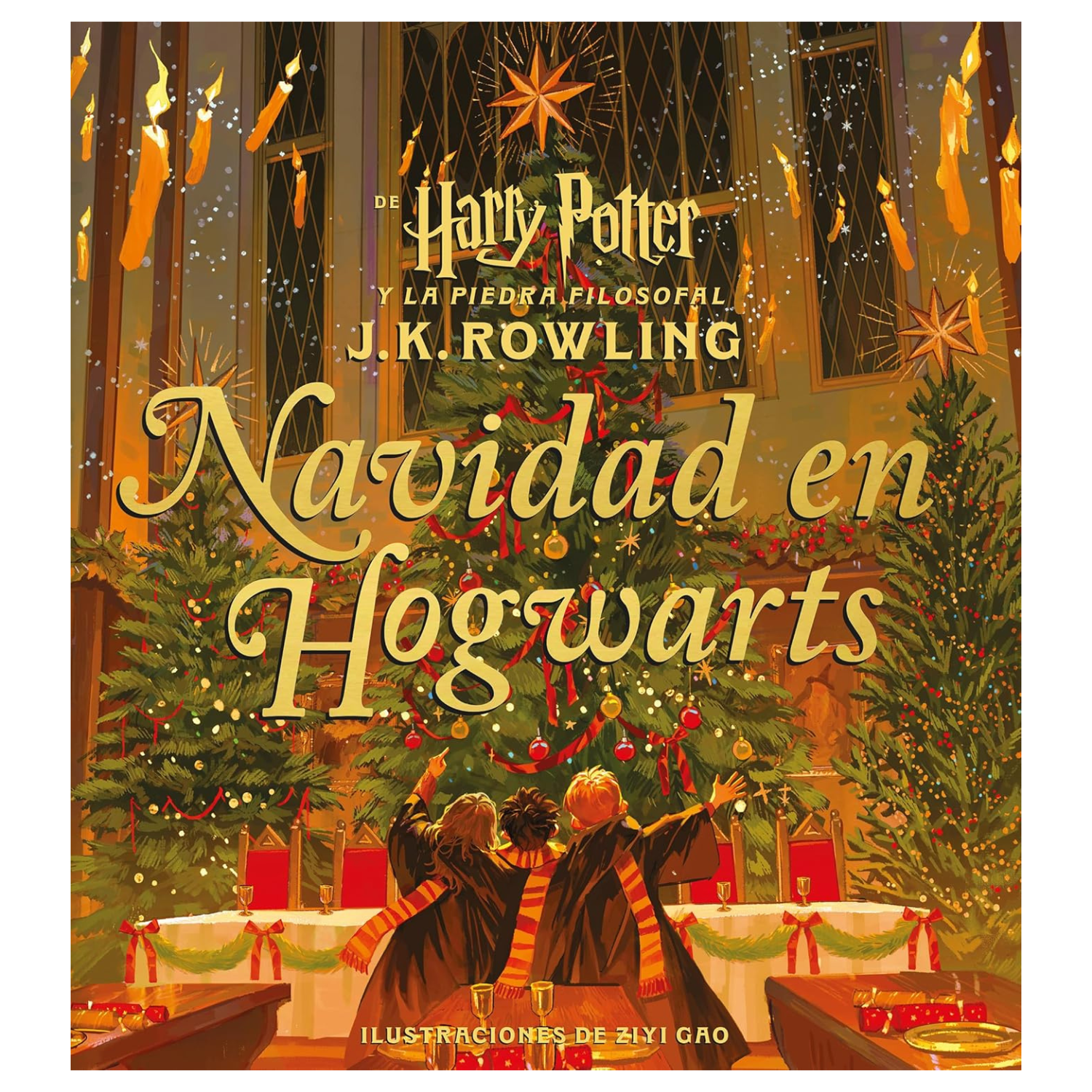 HARRY POTTER. Navidad en Howgarts