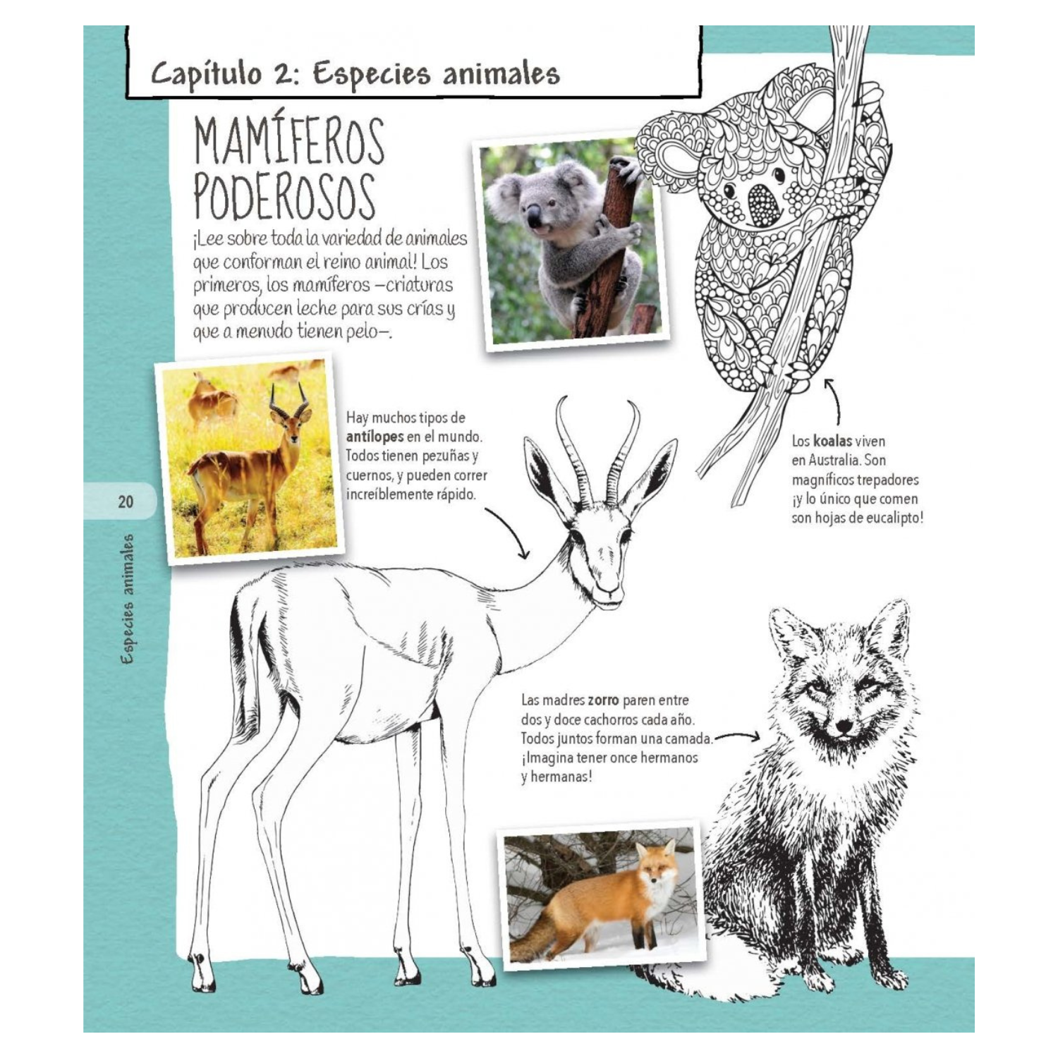 Colorpedia de los animales