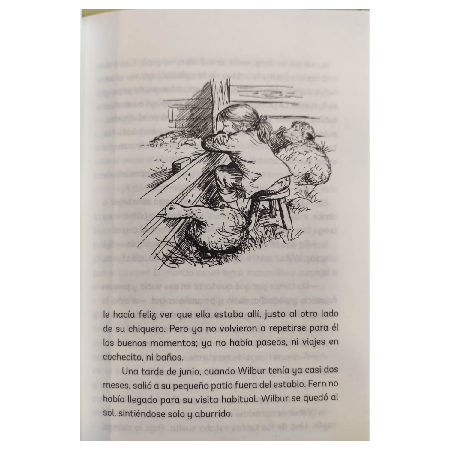 La telaraña de Carlota