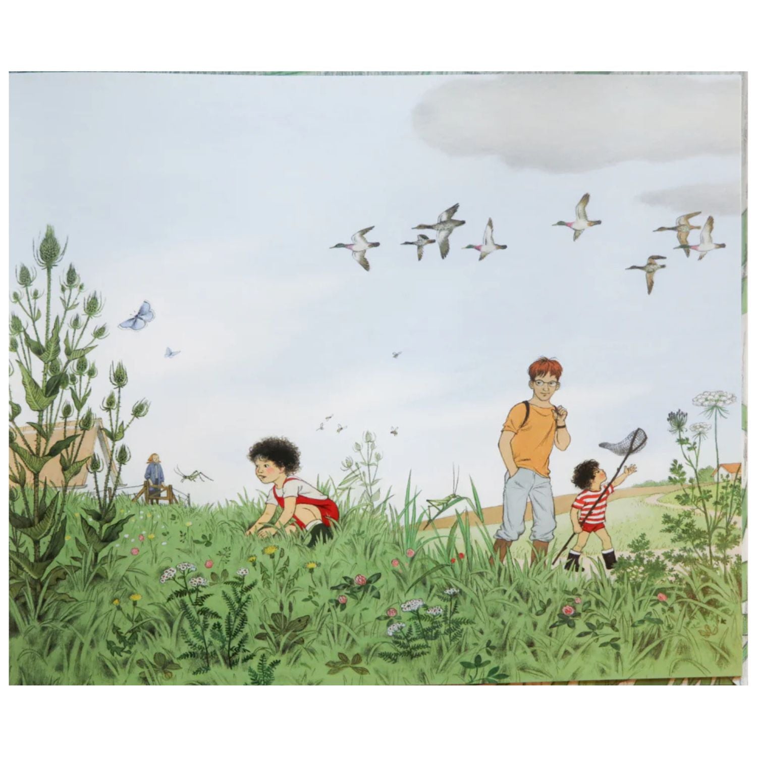 Dónde van cuando llueve?