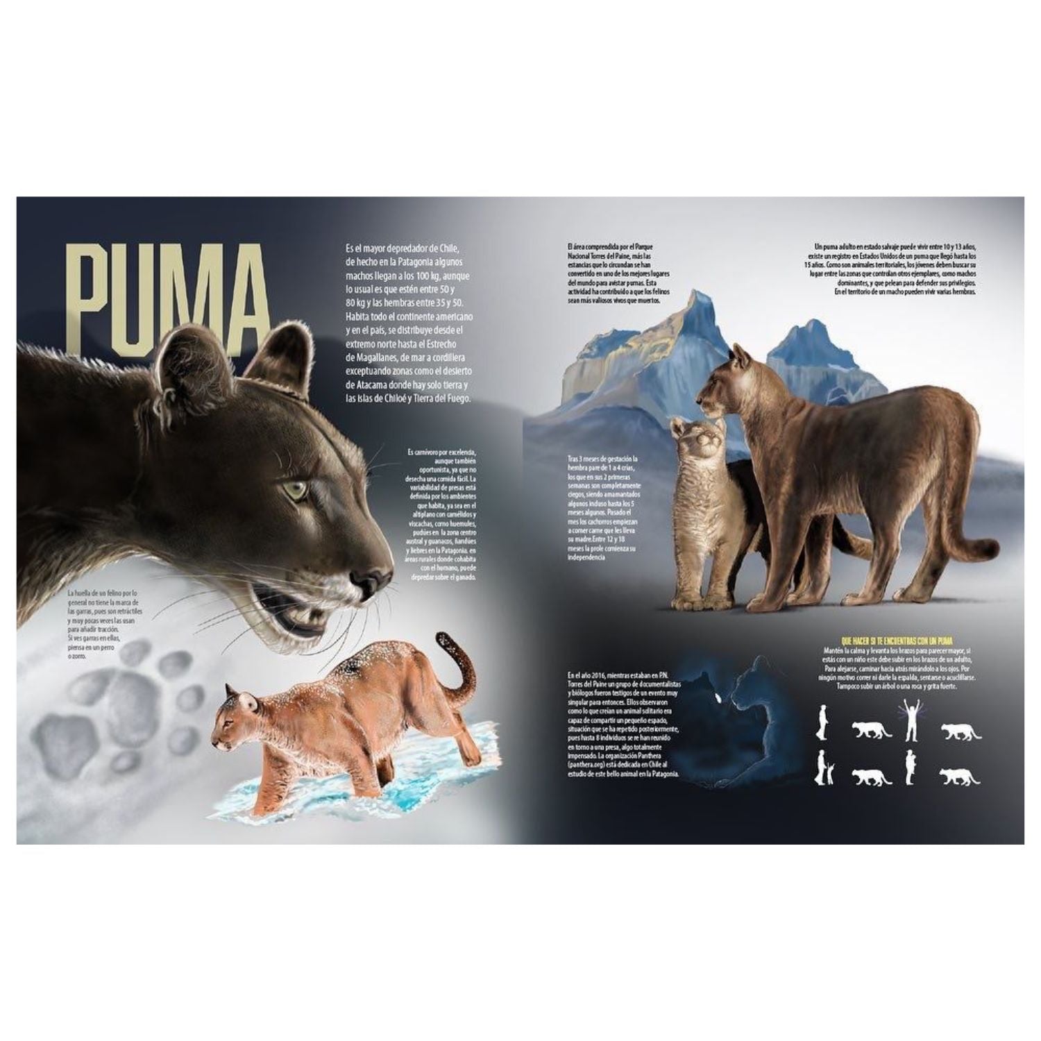 Alas, patas y aletas