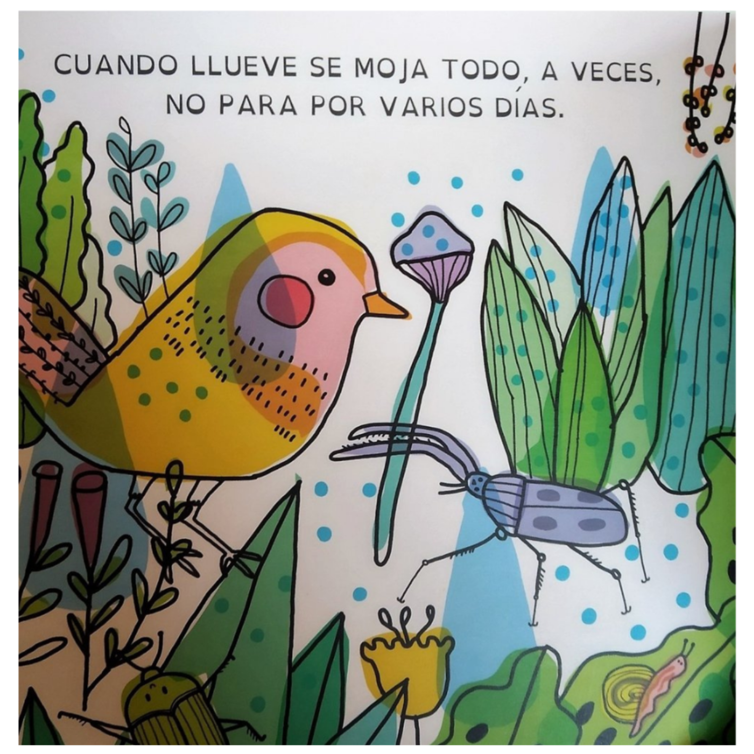Días de lluvia