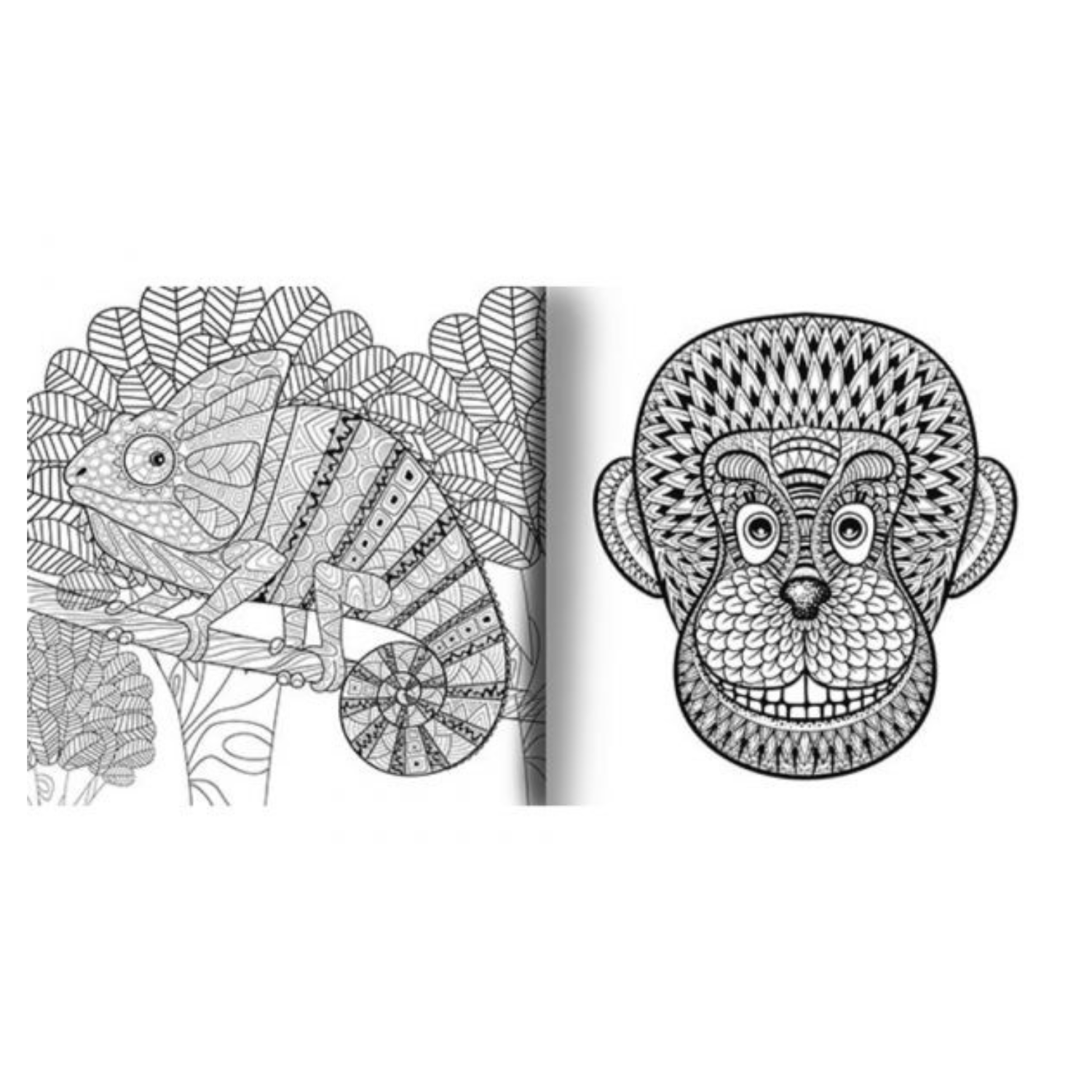 Universo Mandala - Conecta con la vida animal