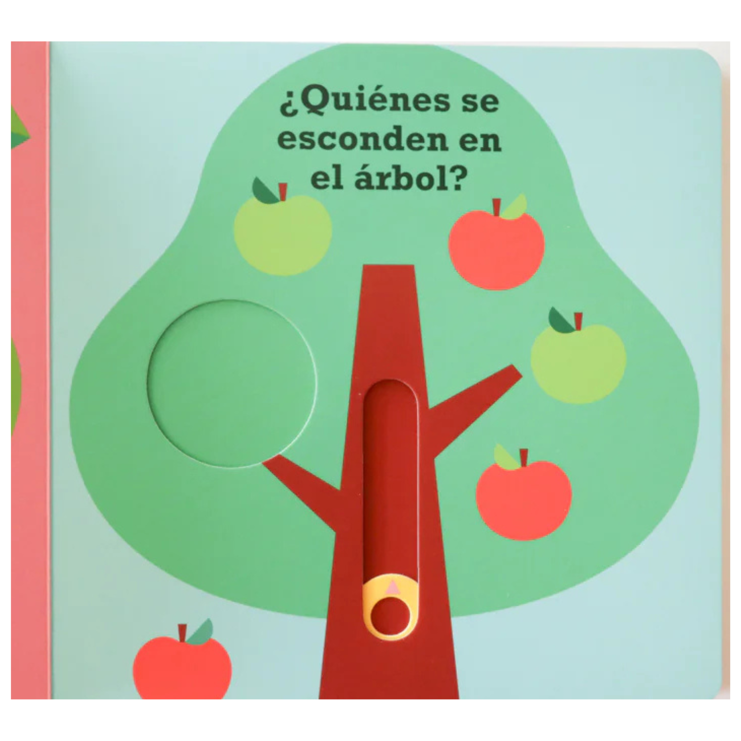 ¿Dónde está? Oso - Colección dónde está
