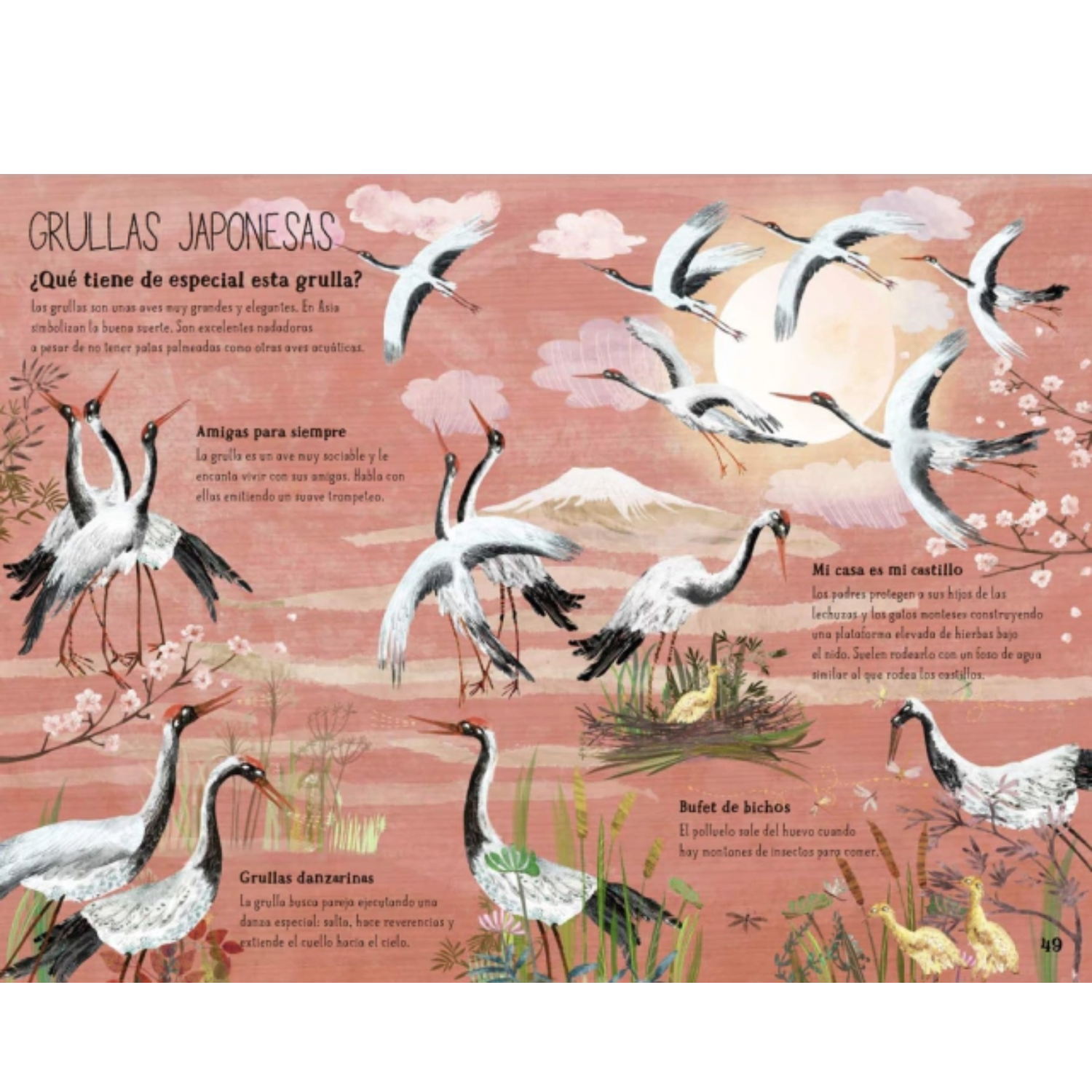 El gran libro de las aves