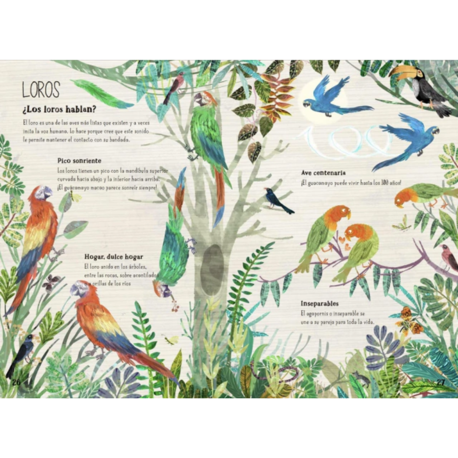 El gran libro de las aves