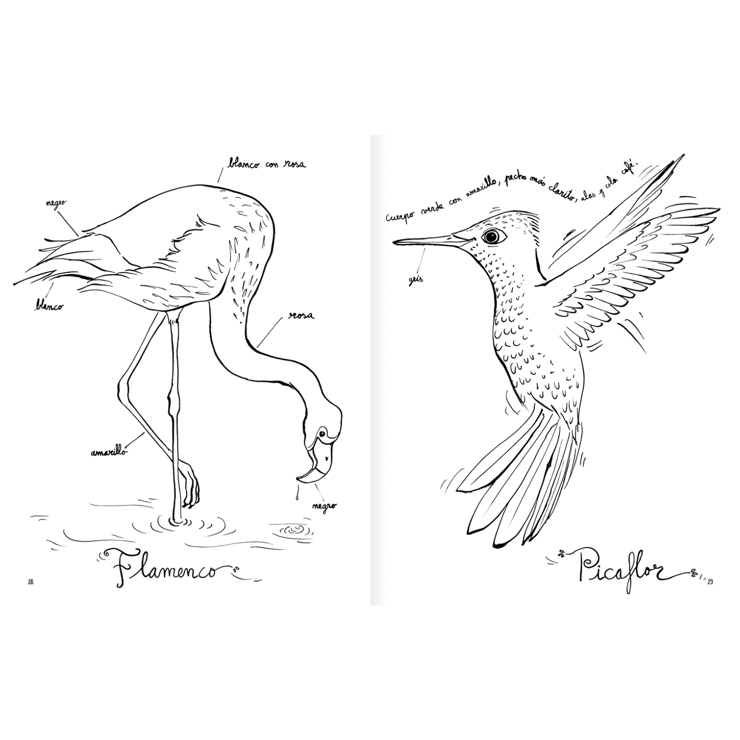 Pintapájaros