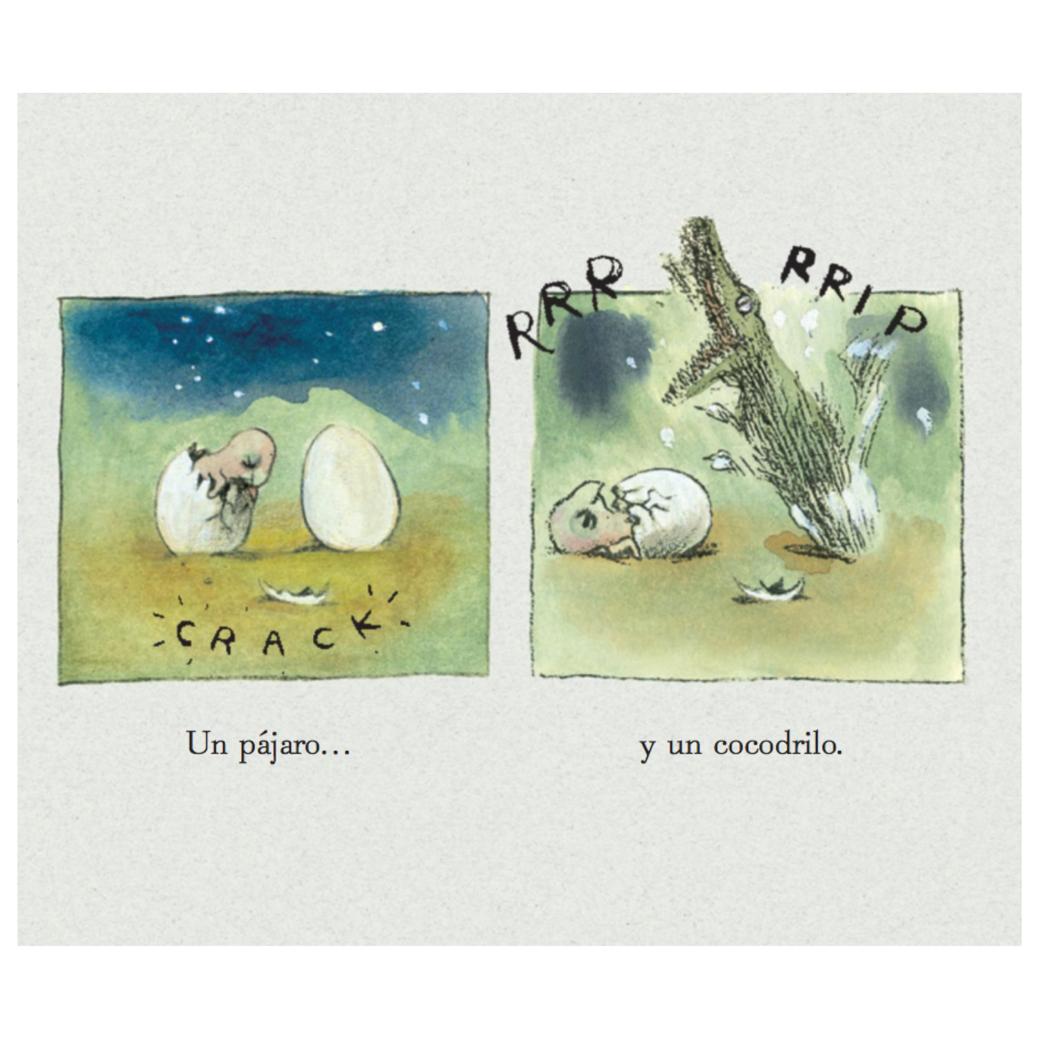 Coco y Pío