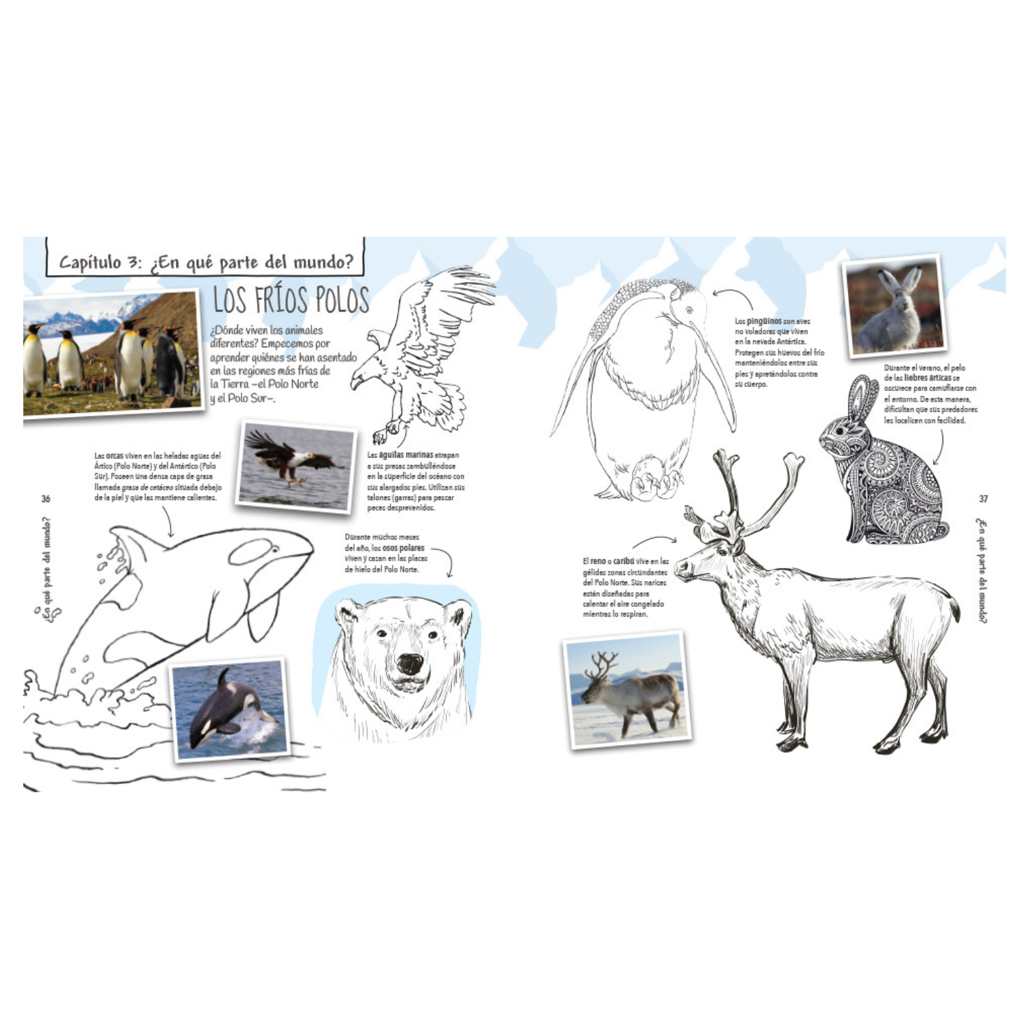 Colorpedia de los animales