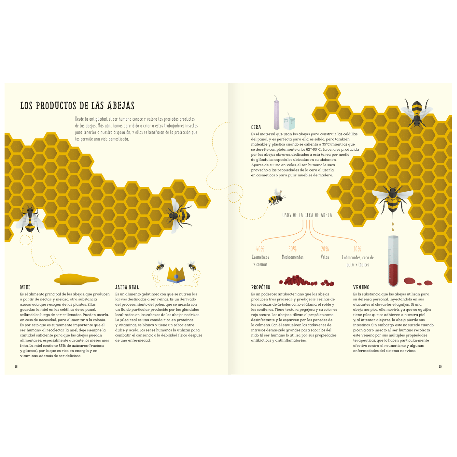 El mundo de las abejas