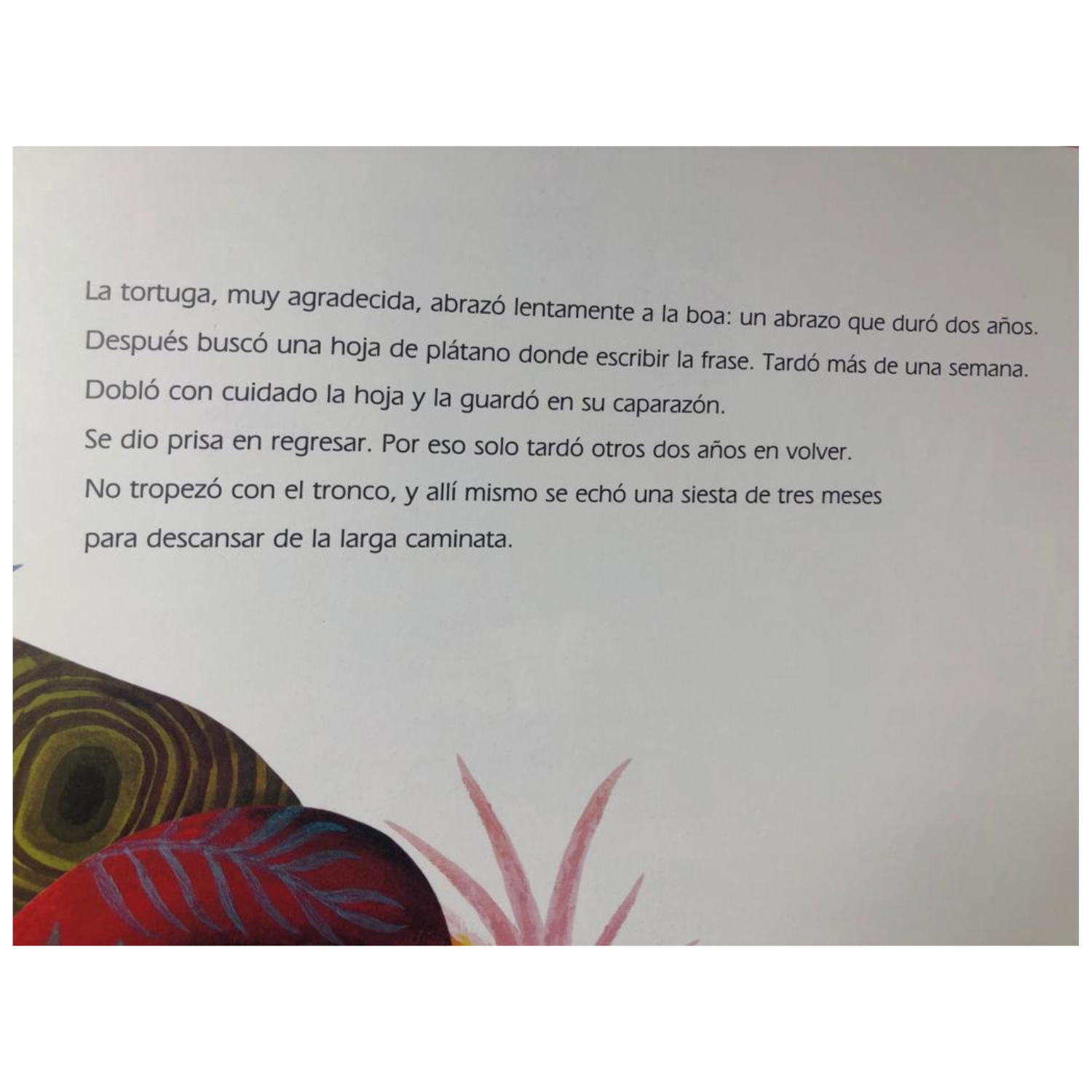 A paso de tortuga