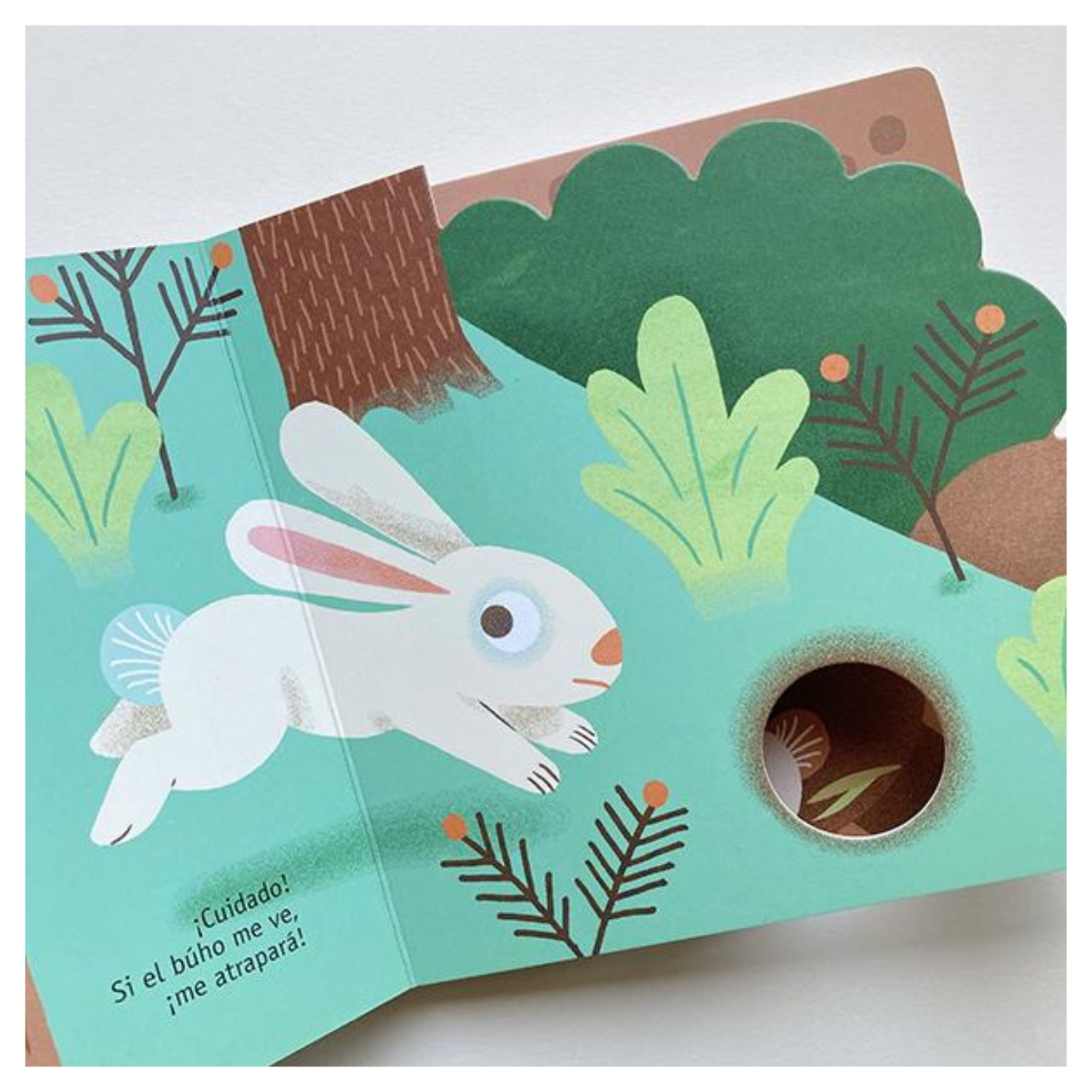 Colección Mi pequeña Naturaleza - El Conejo