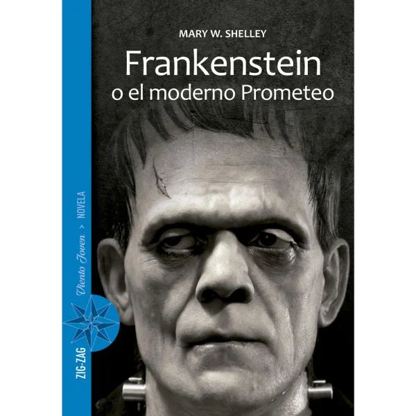 Frankenstein o el moderno prometeo