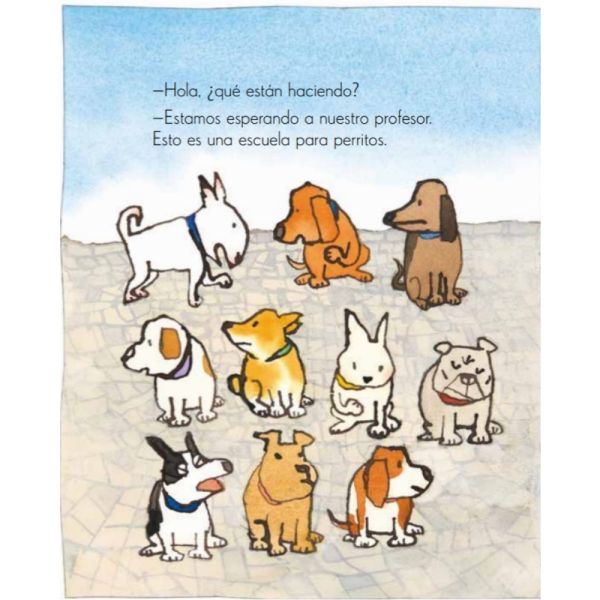 Escuela para perritos