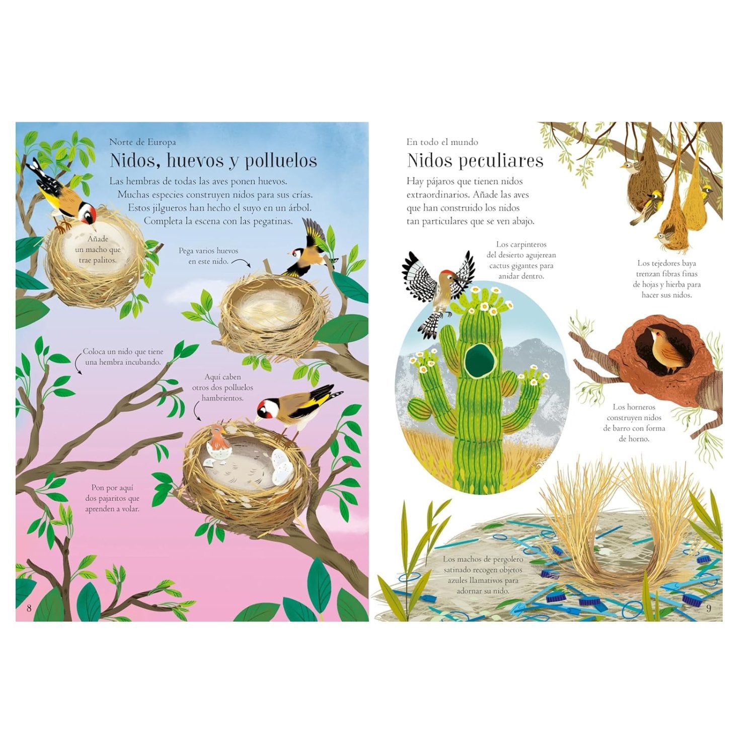 Aves del mundo - Mi pequeño libro de pegatinas - Imagino Cuentos