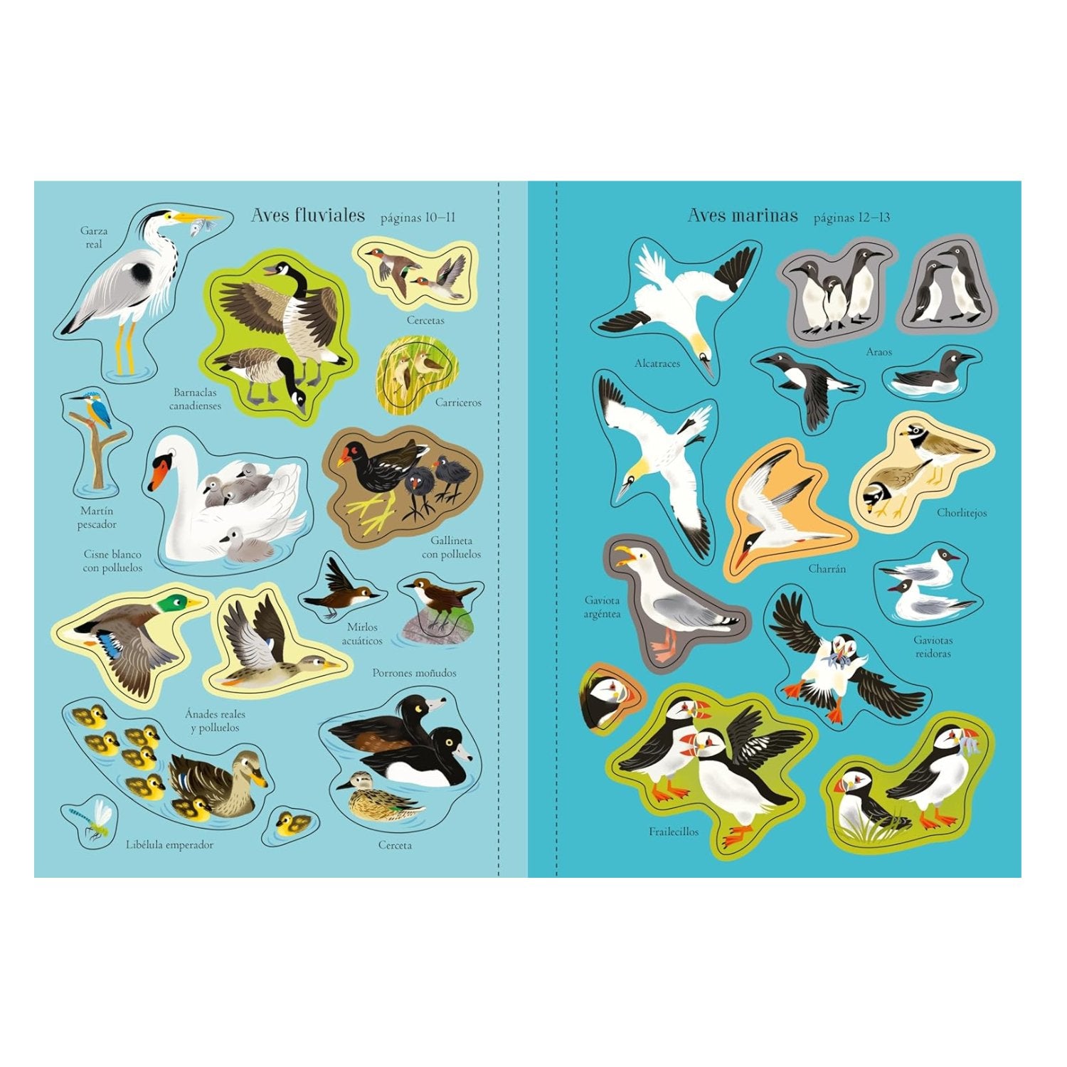 Aves del mundo - Mi pequeño libro de pegatinas - Imagino Cuentos
