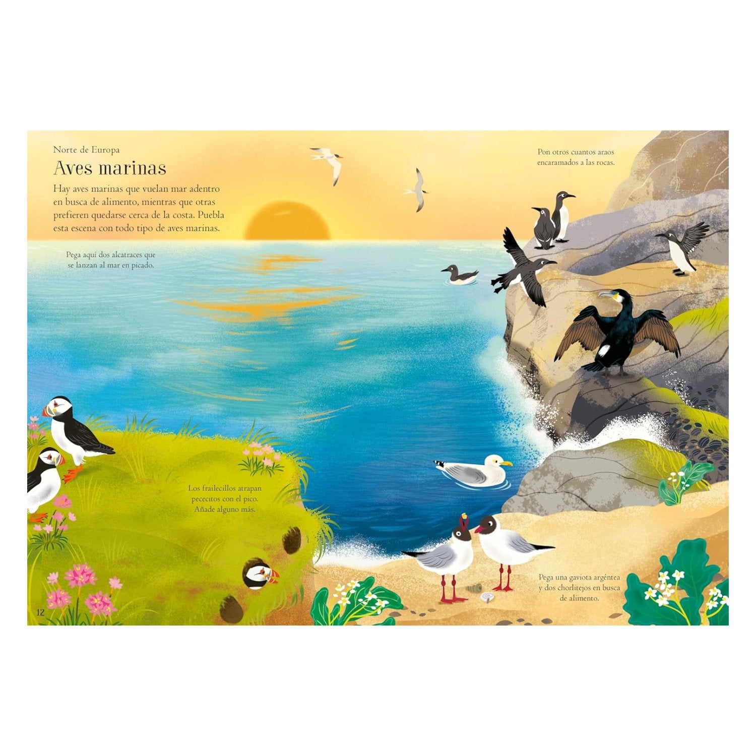 Aves del mundo - Mi pequeño libro de pegatinas - Imagino Cuentos