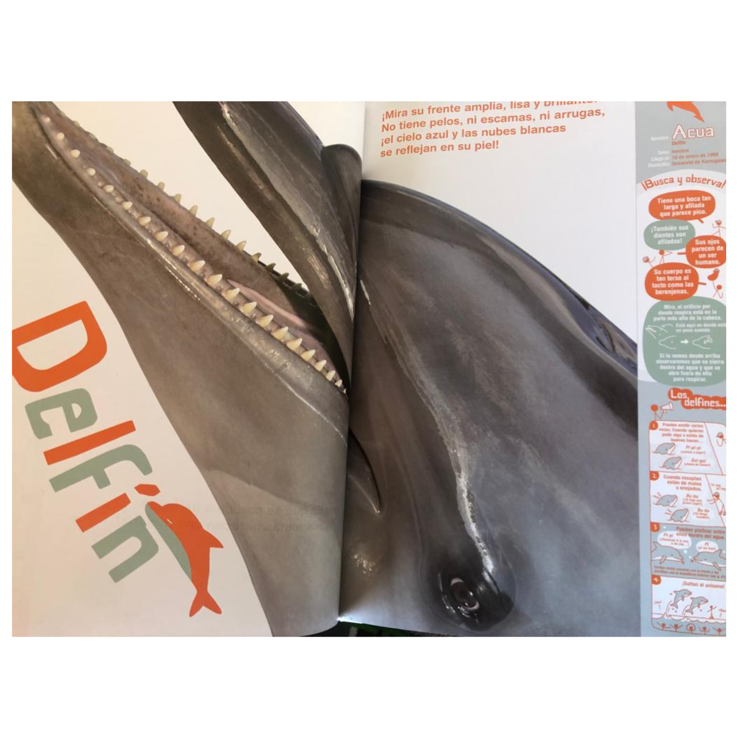 Animales al natural - Un acuario portátil