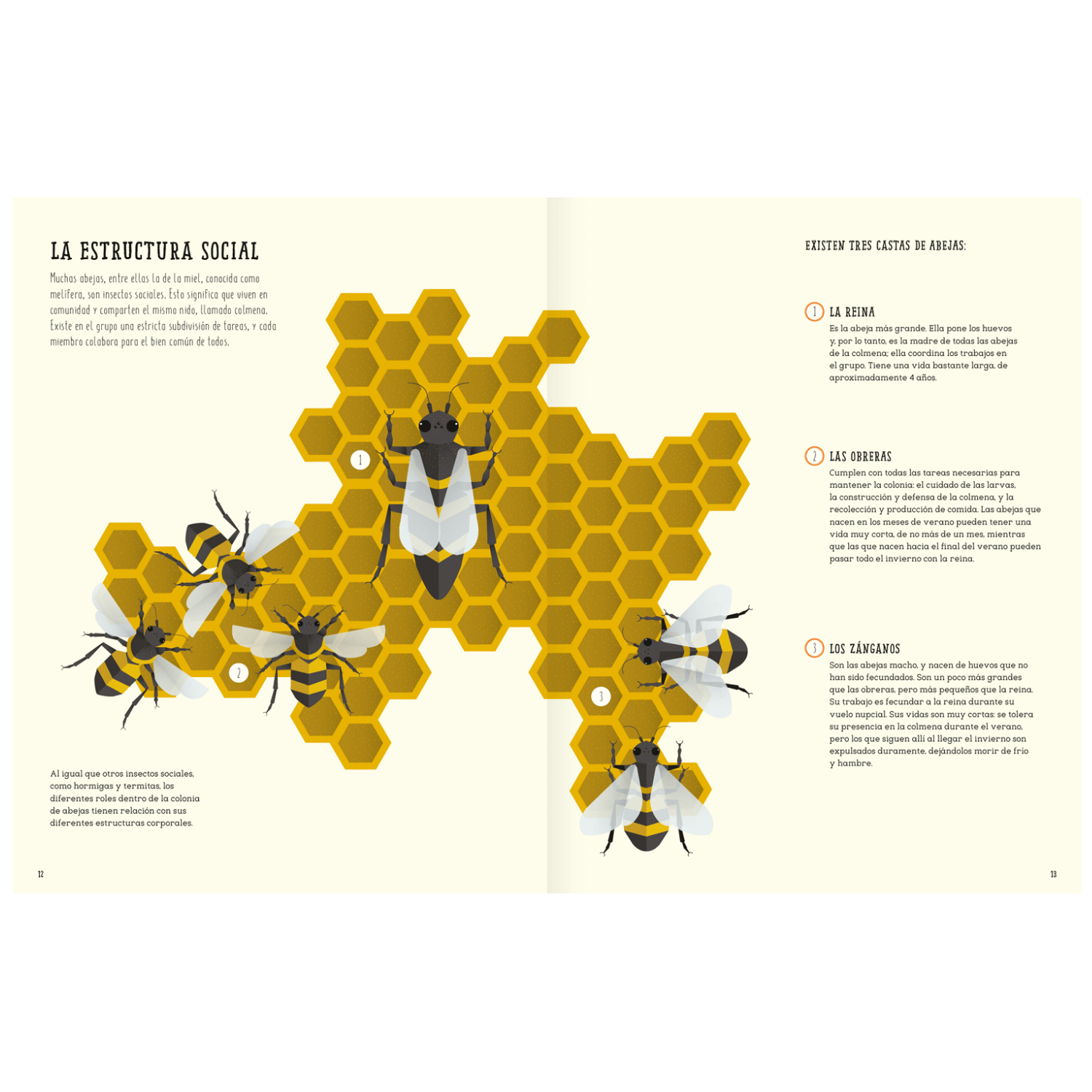 El mundo de las abejas