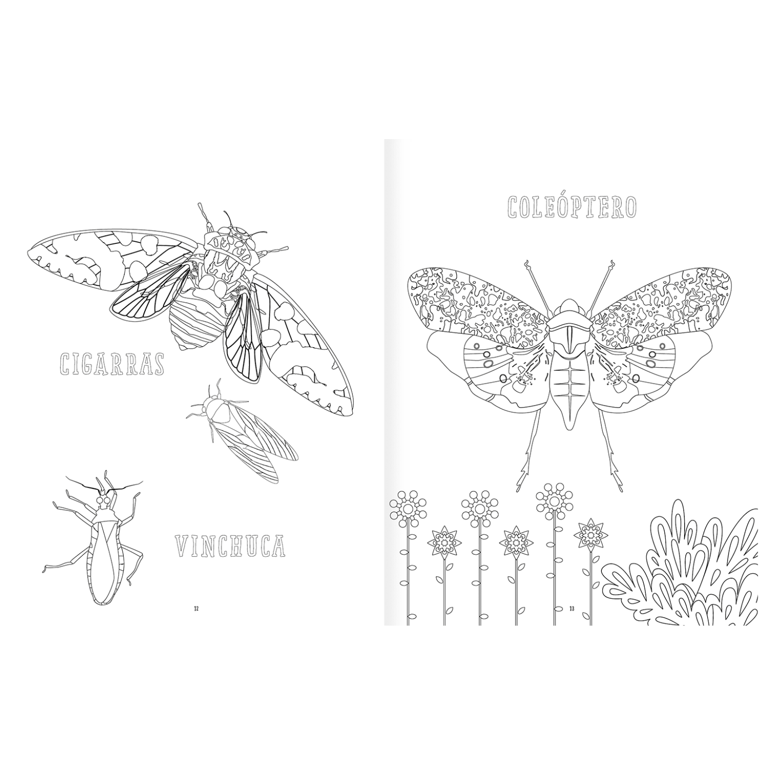 Insectopinta