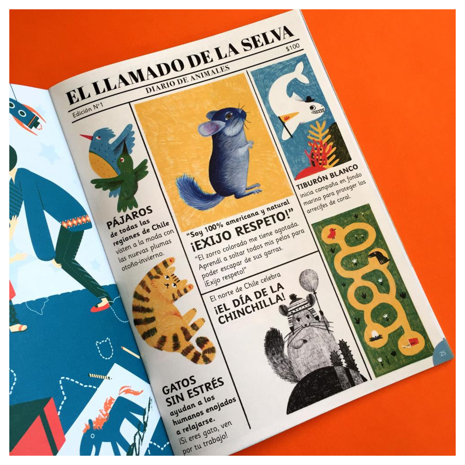 Revista Guarisapo N1