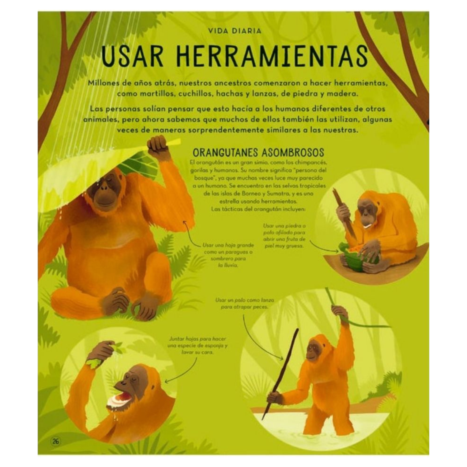 La sorprendente vida de los animales