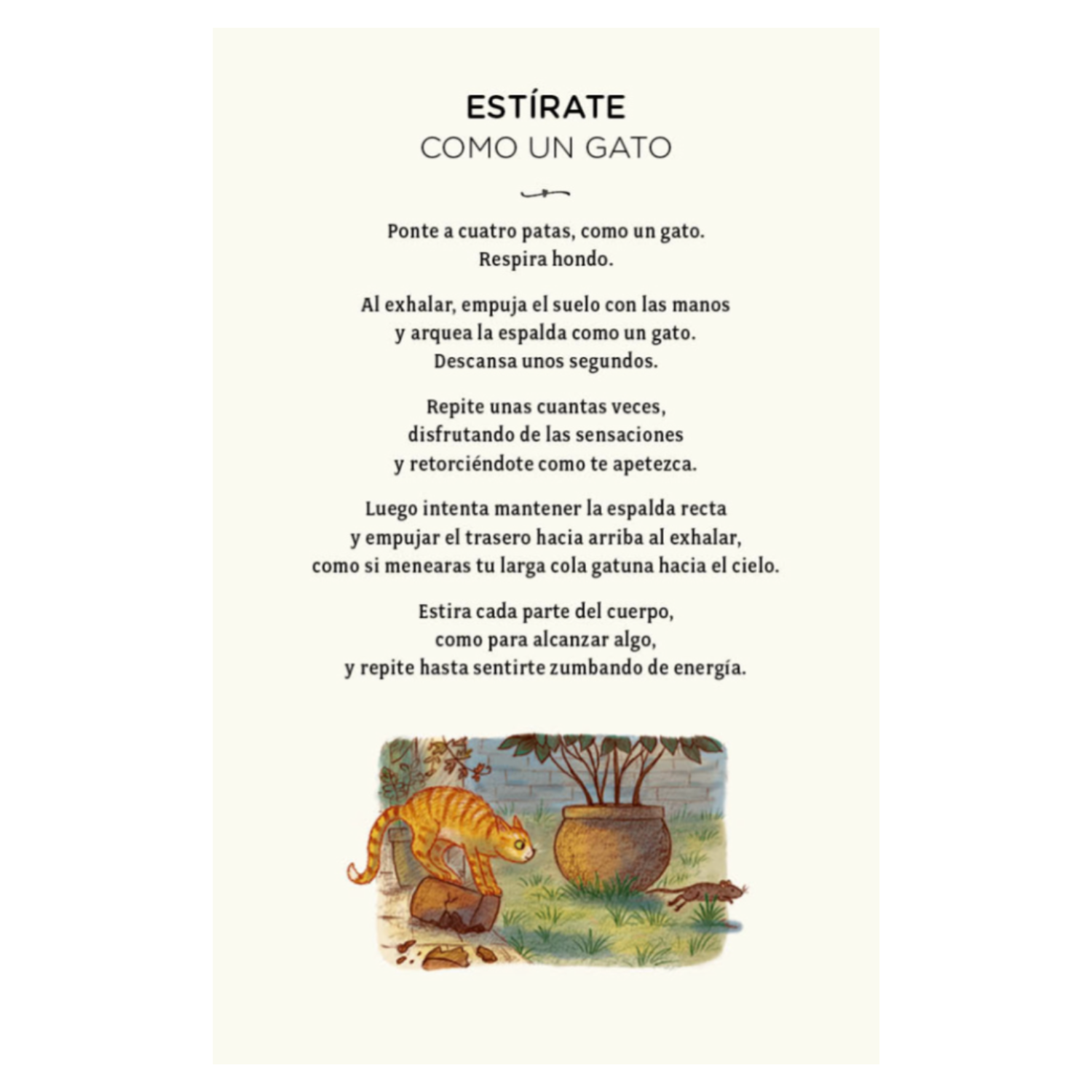 Con Calma (cartas): 30 actividades mindfulnes