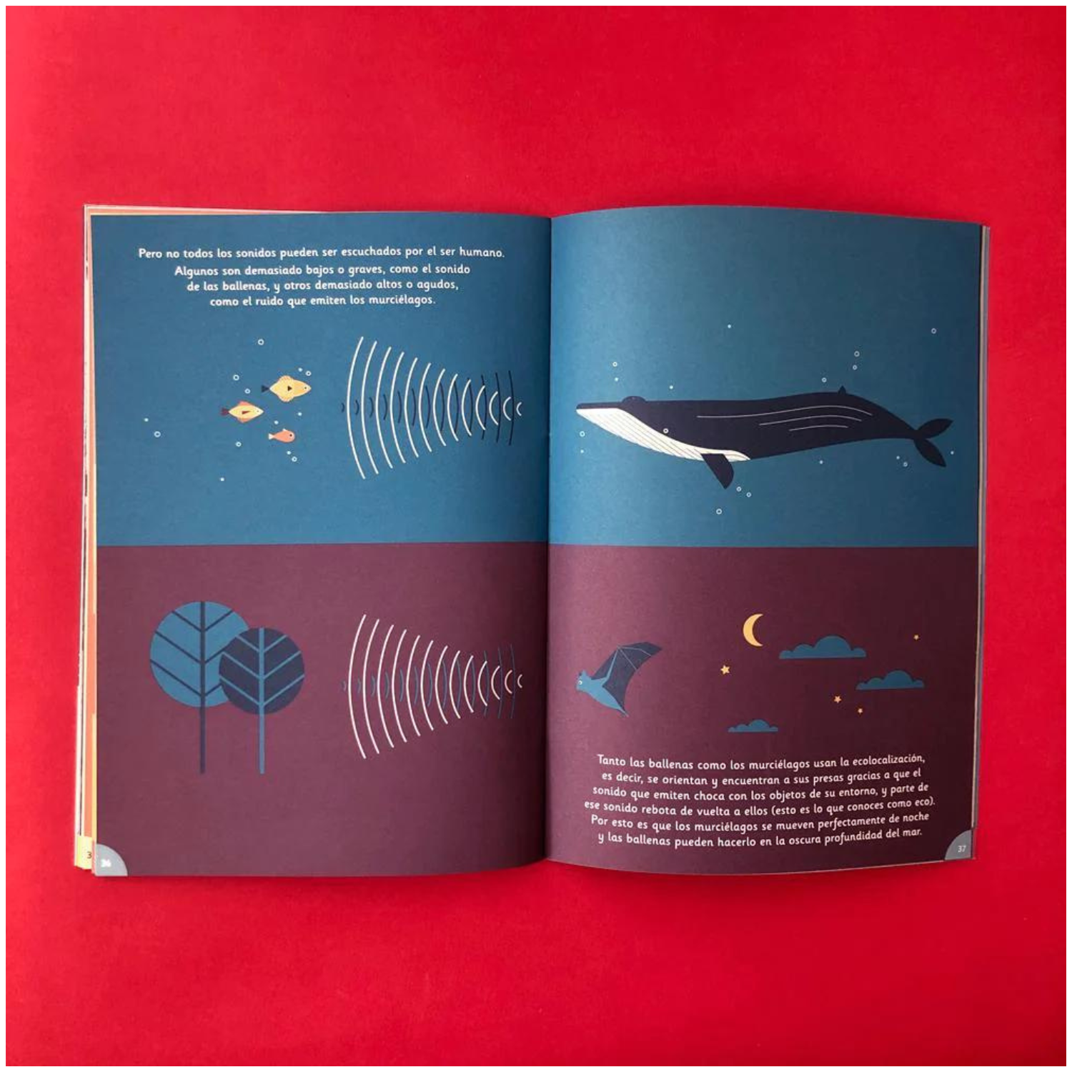 Revista Guarisapo N2