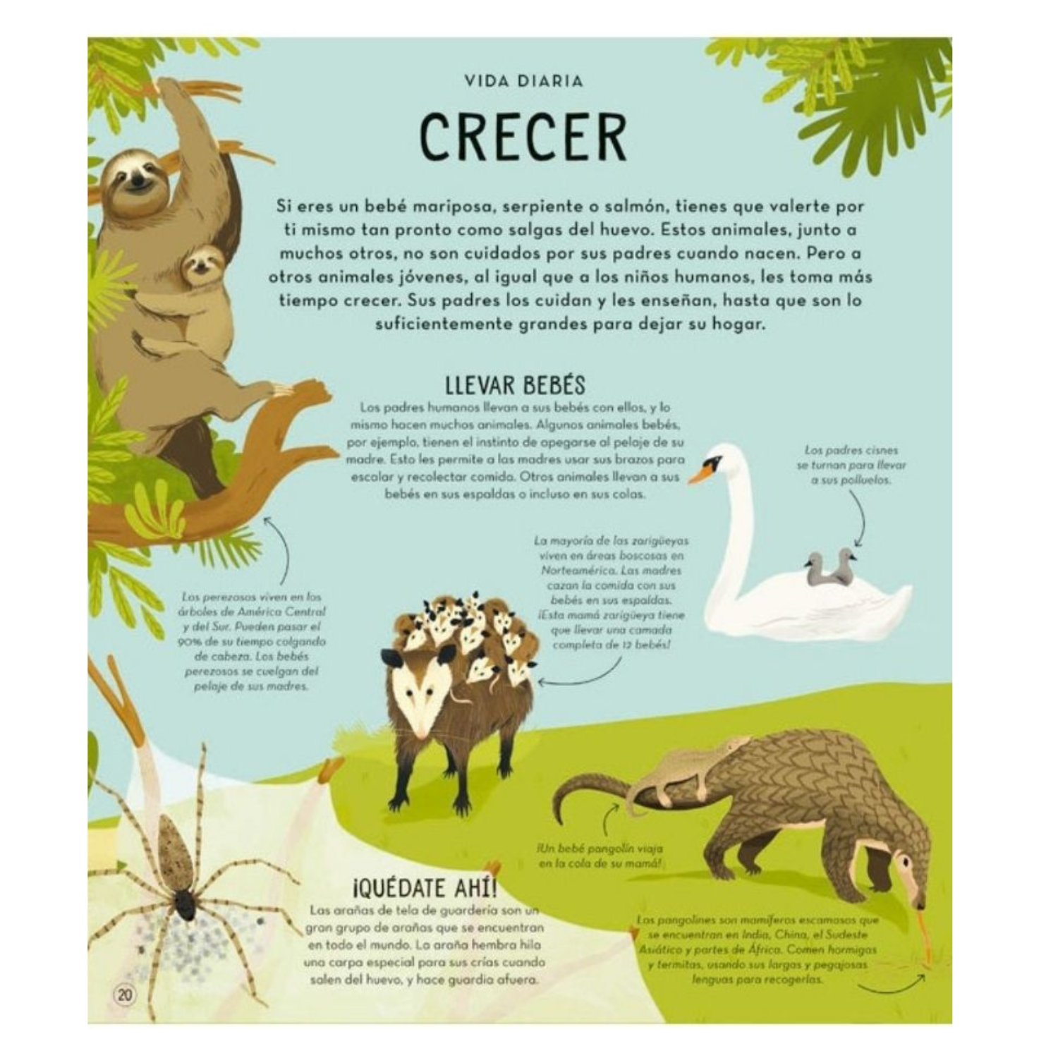 La sorprendente vida de los animales