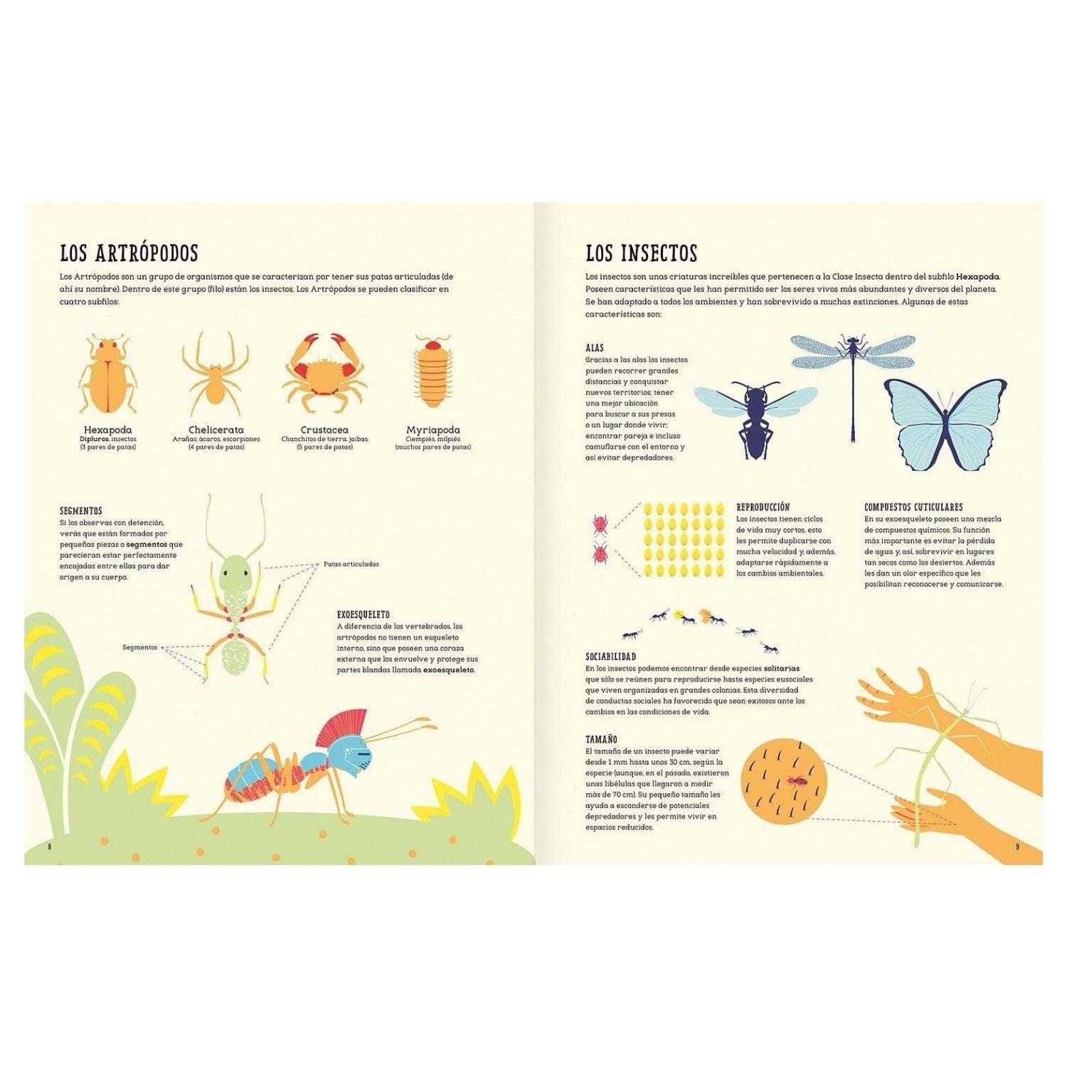 Insectopedia