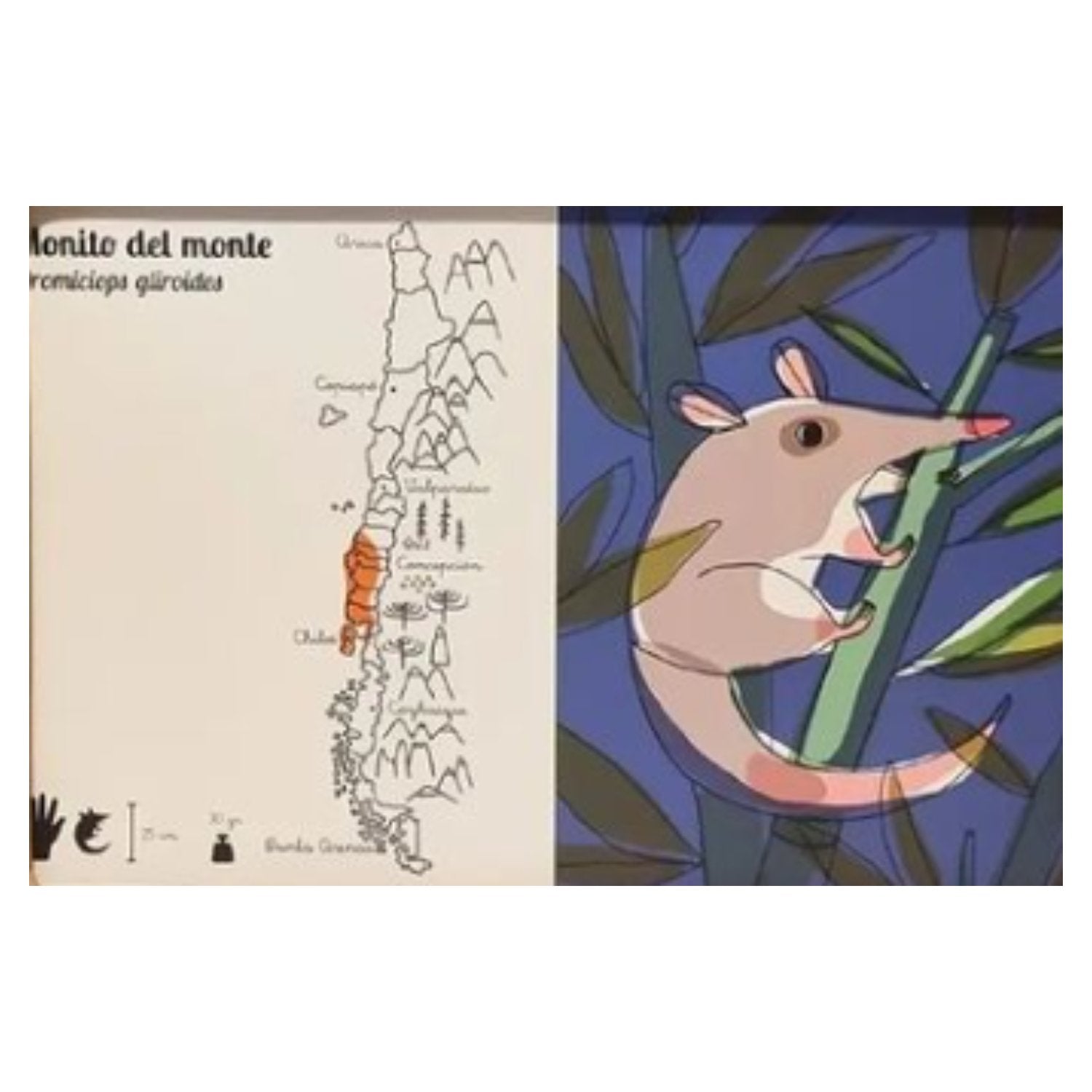 Kamishibai Fauna chilena - Imagino Cuentos