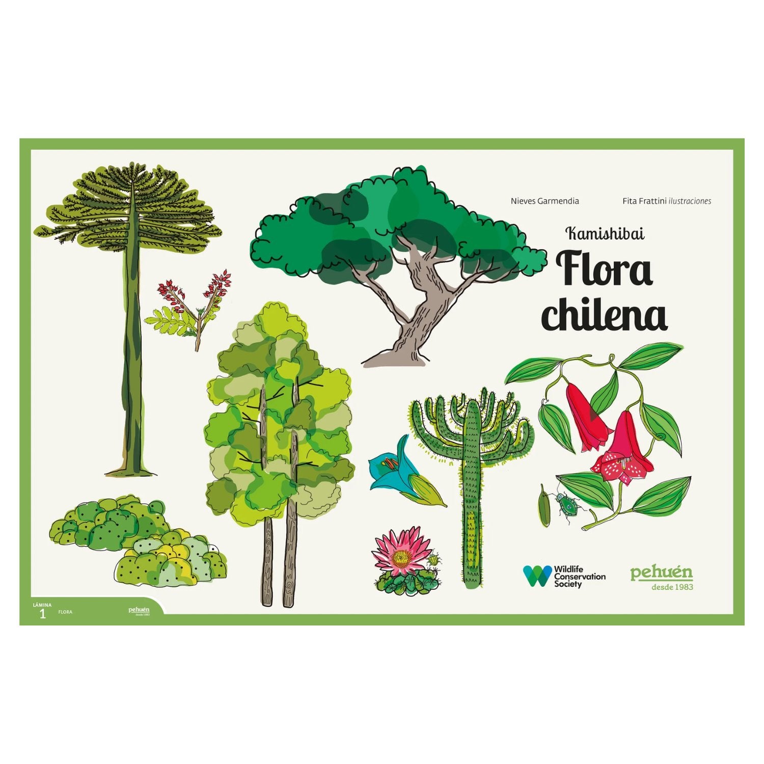 Kamishibai Flora chilena - Imagino Cuentos