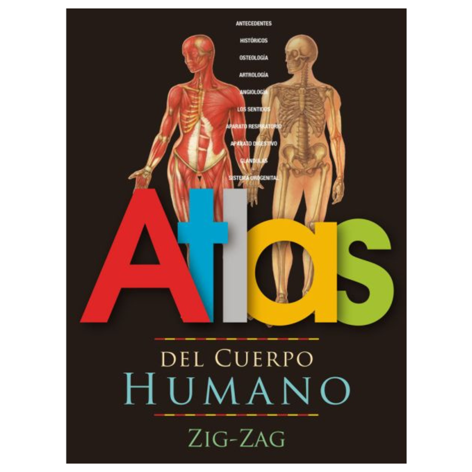 Atlas del cuerpo humano