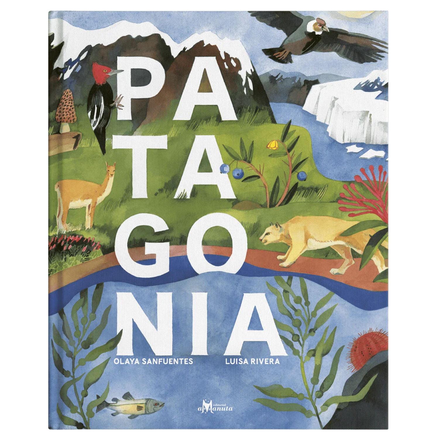 Patagonia