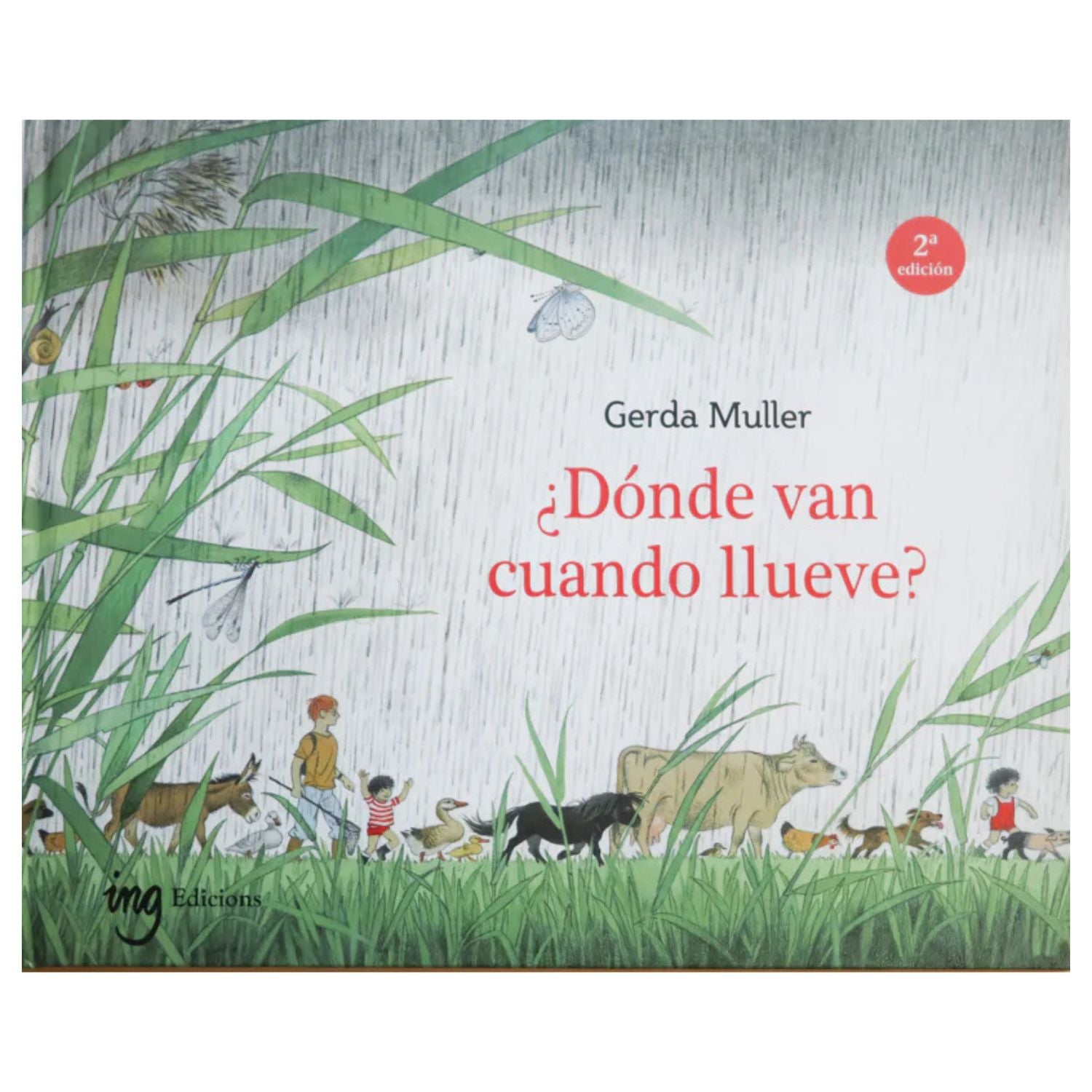 Dónde van cuando llueve?