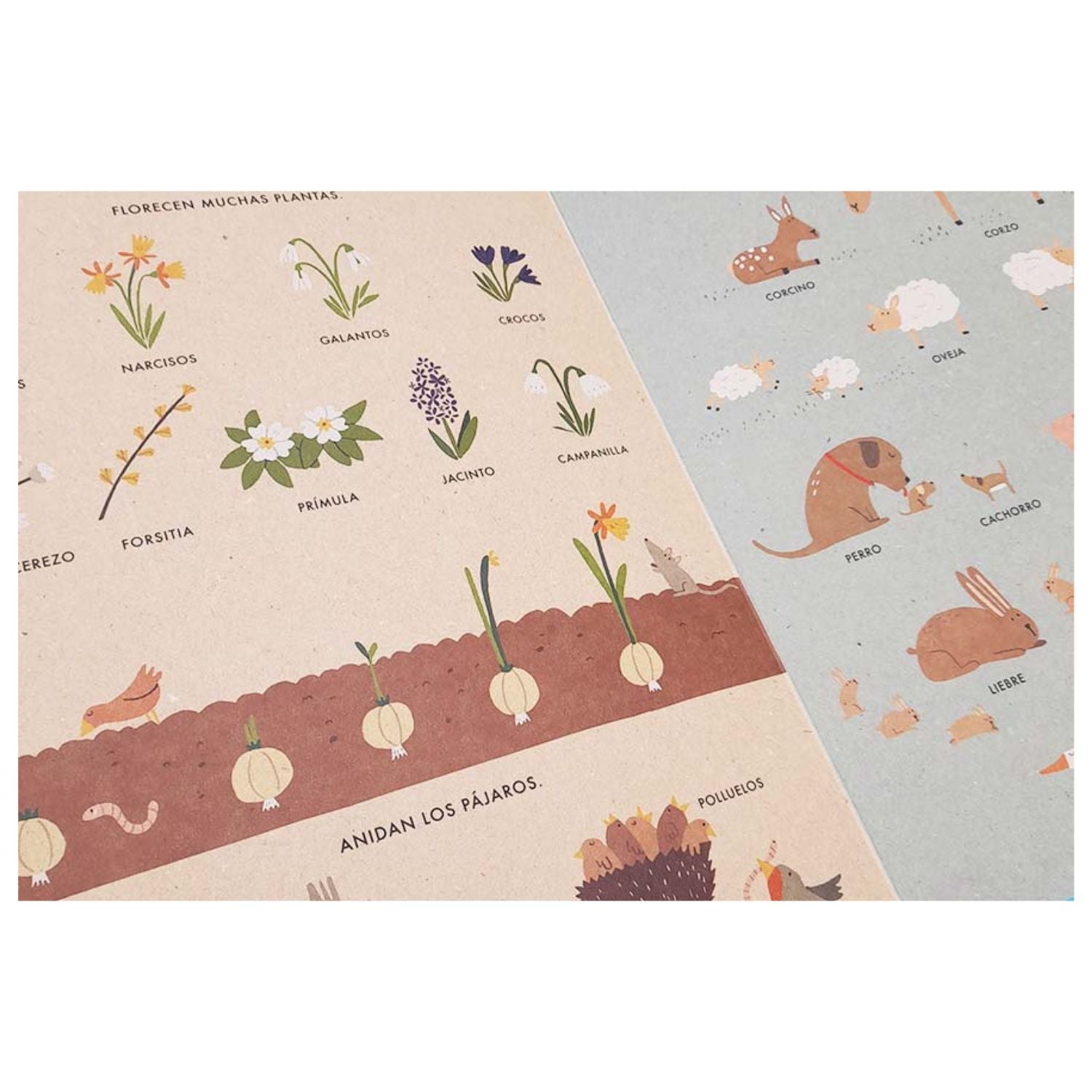 Las Cuatro estaciones