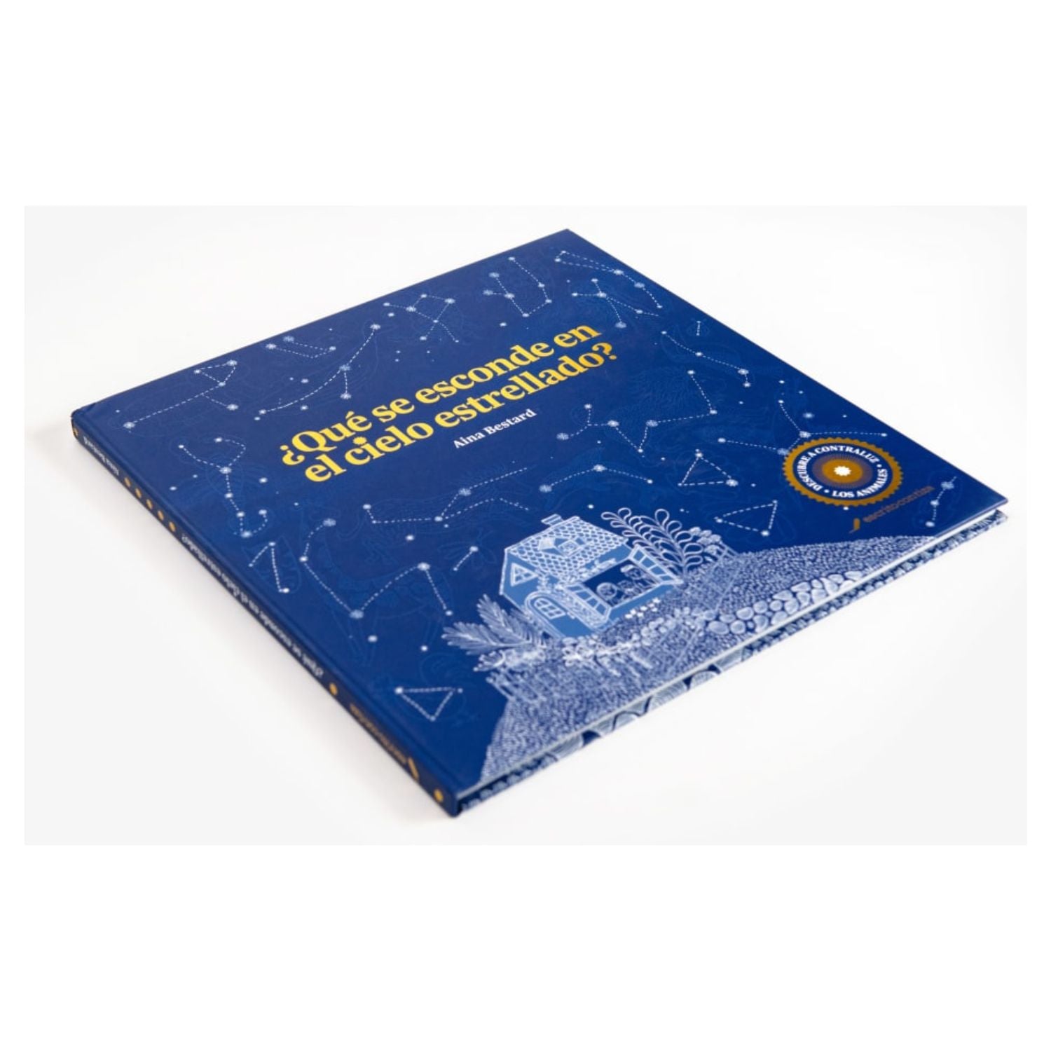 ¿Qué se esconde en el cielo estrellado?