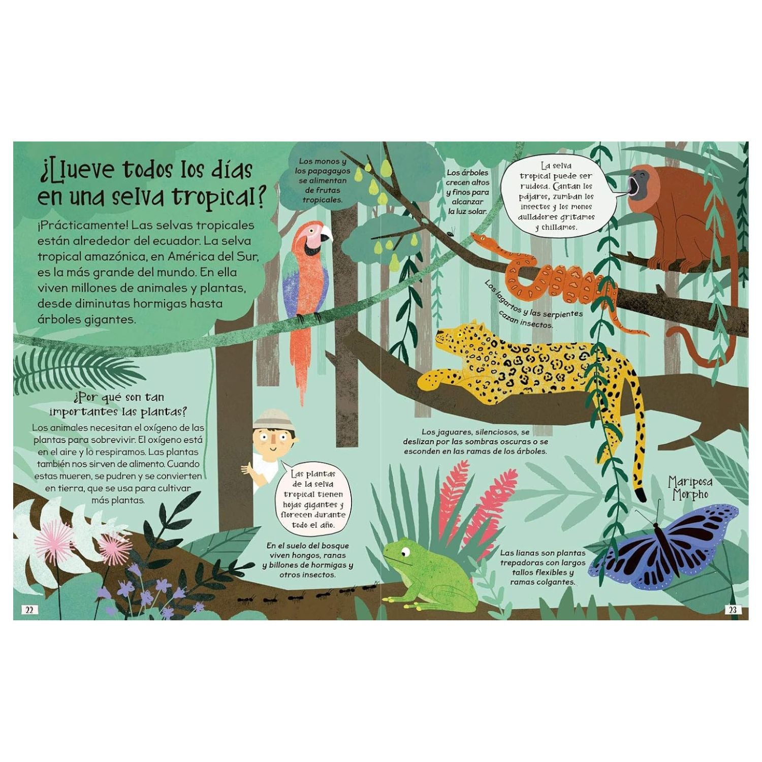 Preguntas y respuestas curiosas sobre... NUESTRO PLANETA