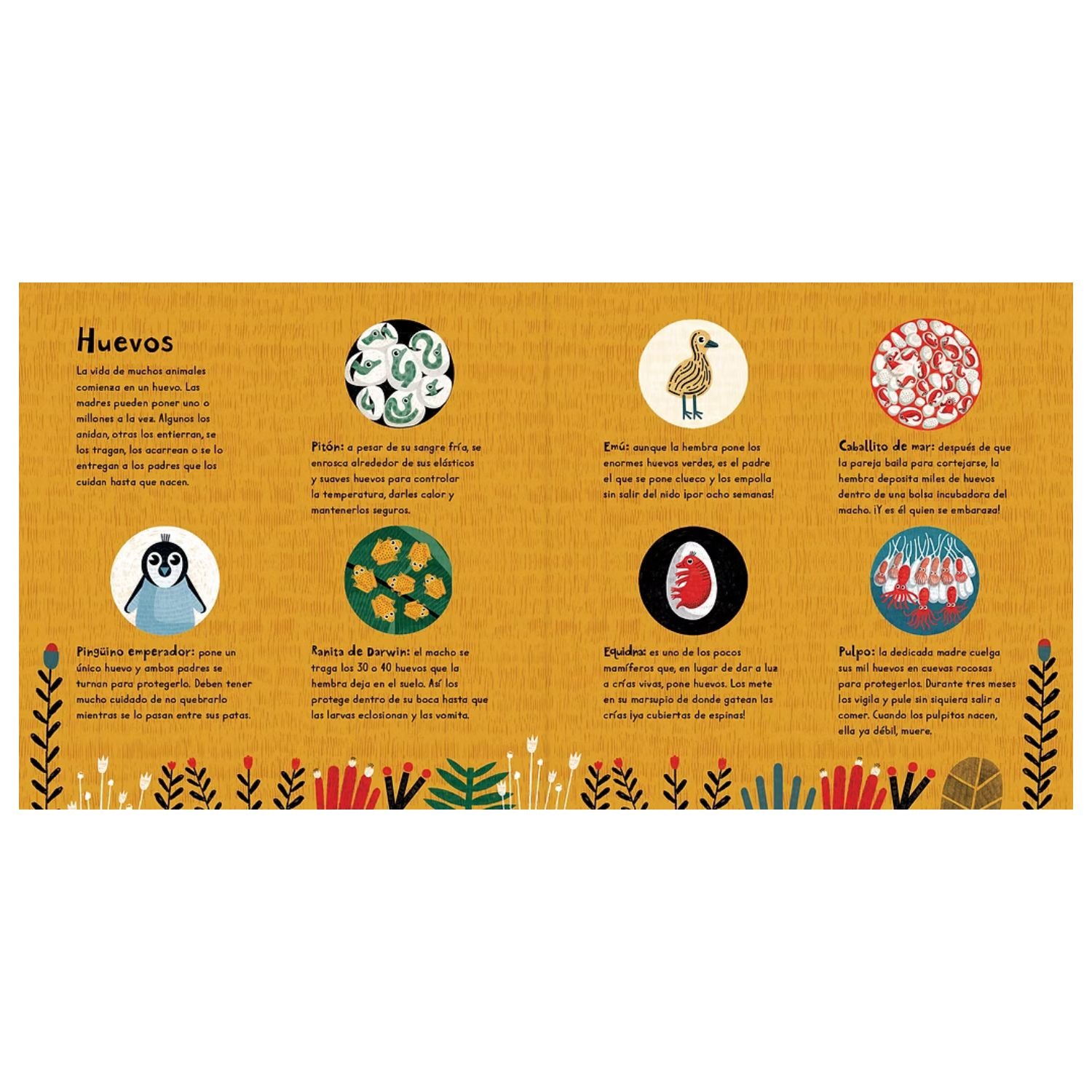 CRACK! - Colección Pikabú