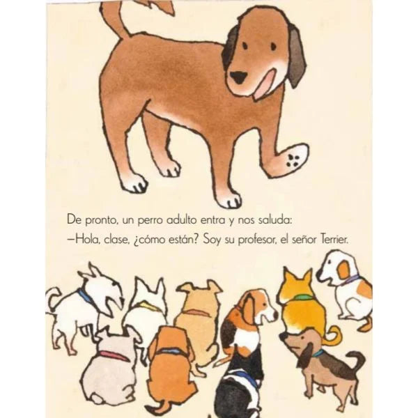 Escuela para perritos