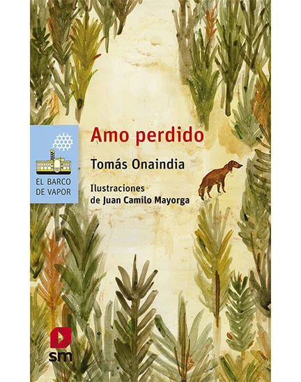 Amo perdido