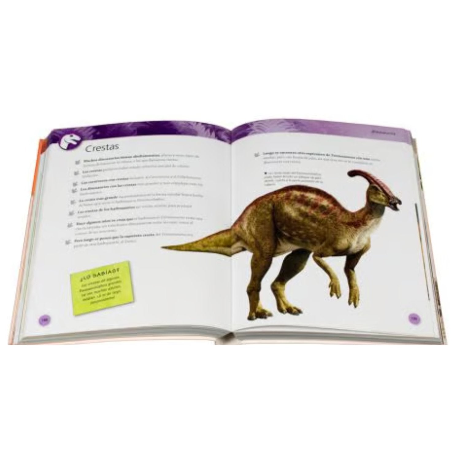 Enciclopedia de los dinosaurios y la vida - Imagino Cuentos