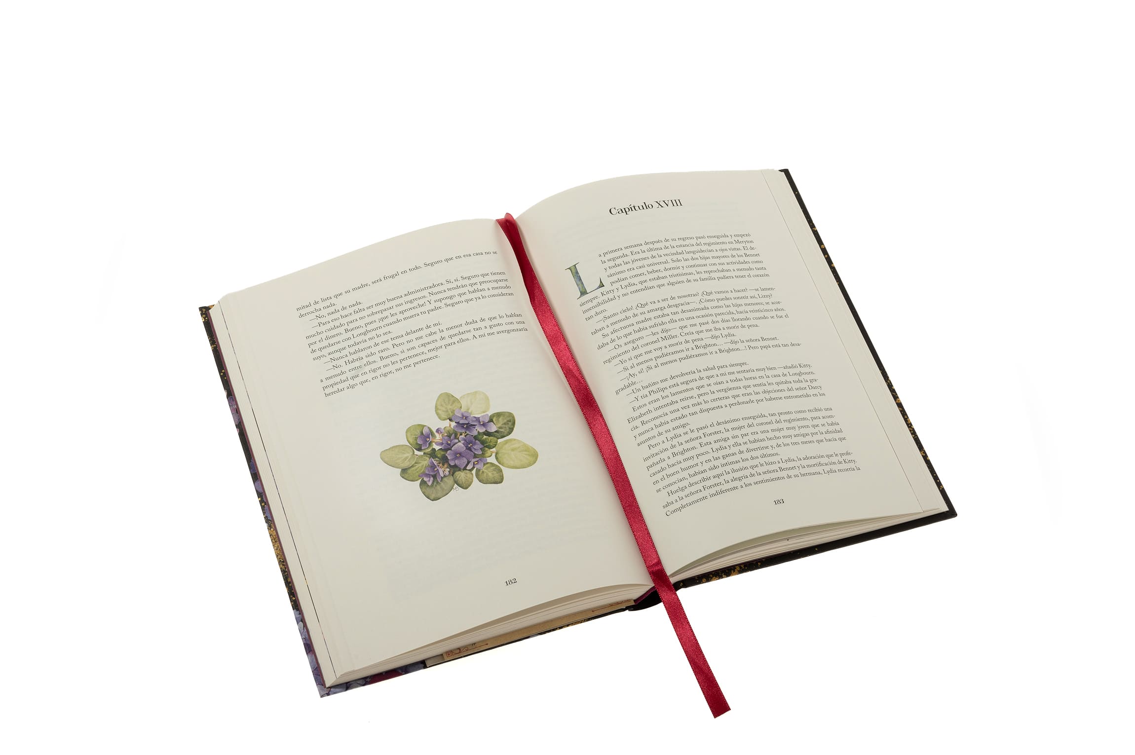 Orgullo y prejuicio - Colección Jardín secreto (Ed. limitada)