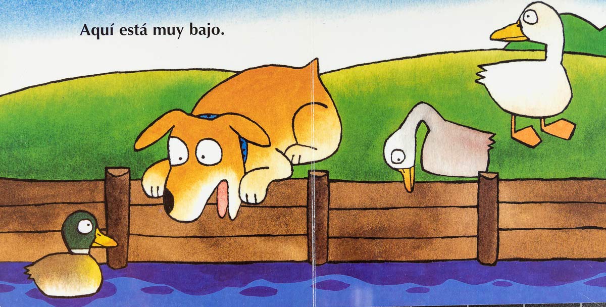 Perro tiene sed